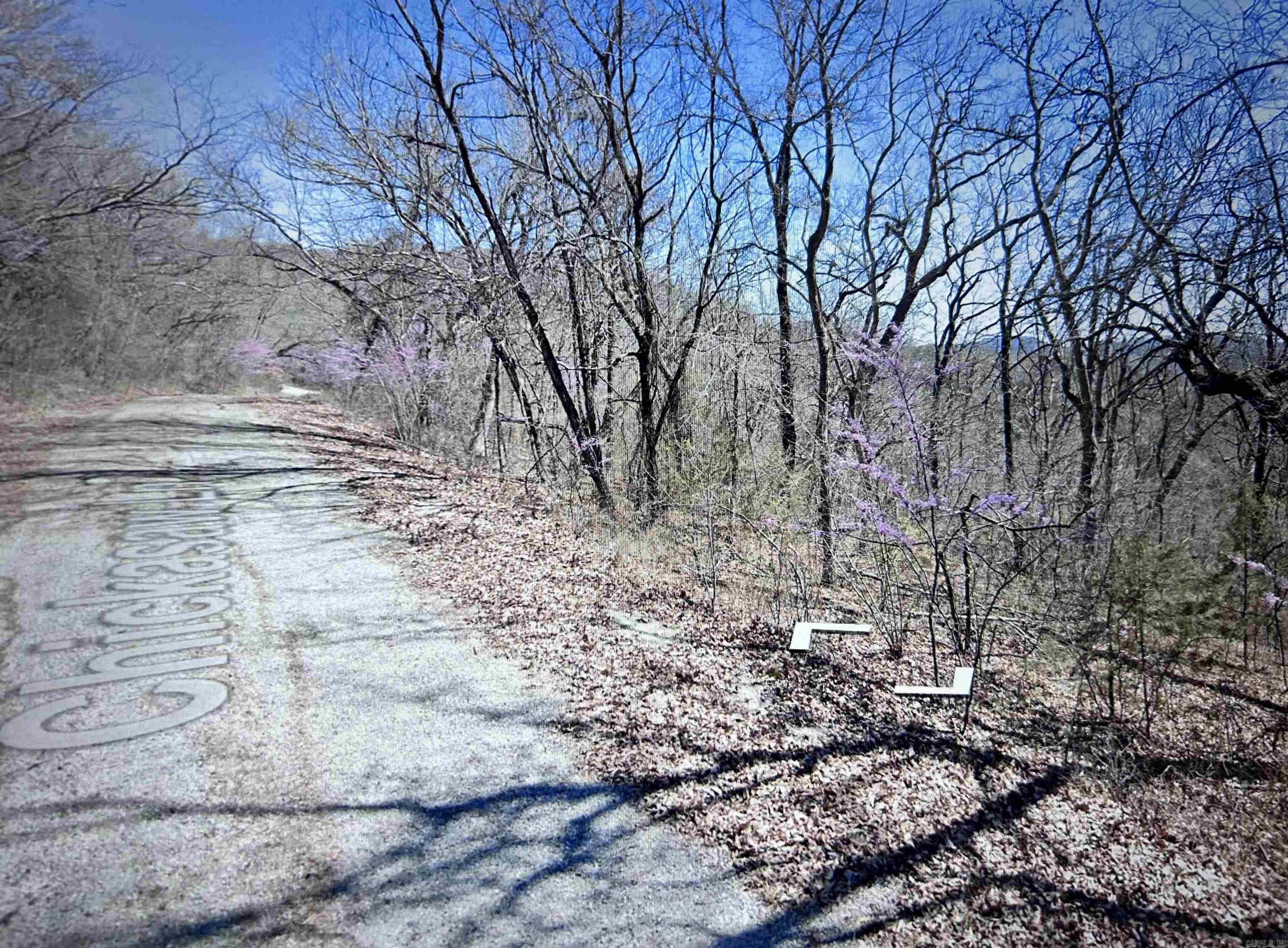 Lot 31 Chickasaw Lane Property Photo 3