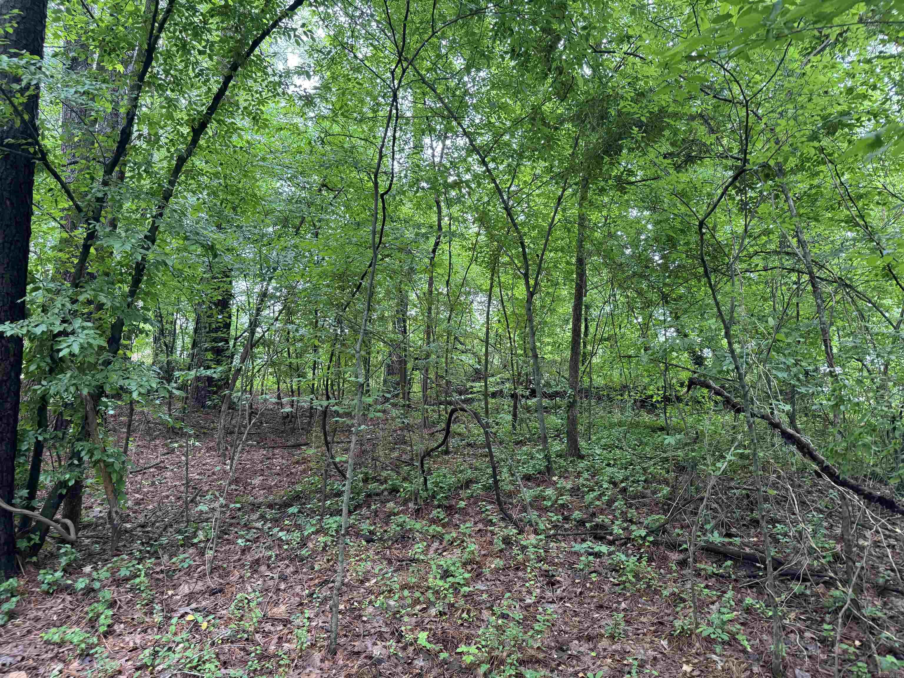 Lot 2 Woodland Drive Property Photo 2