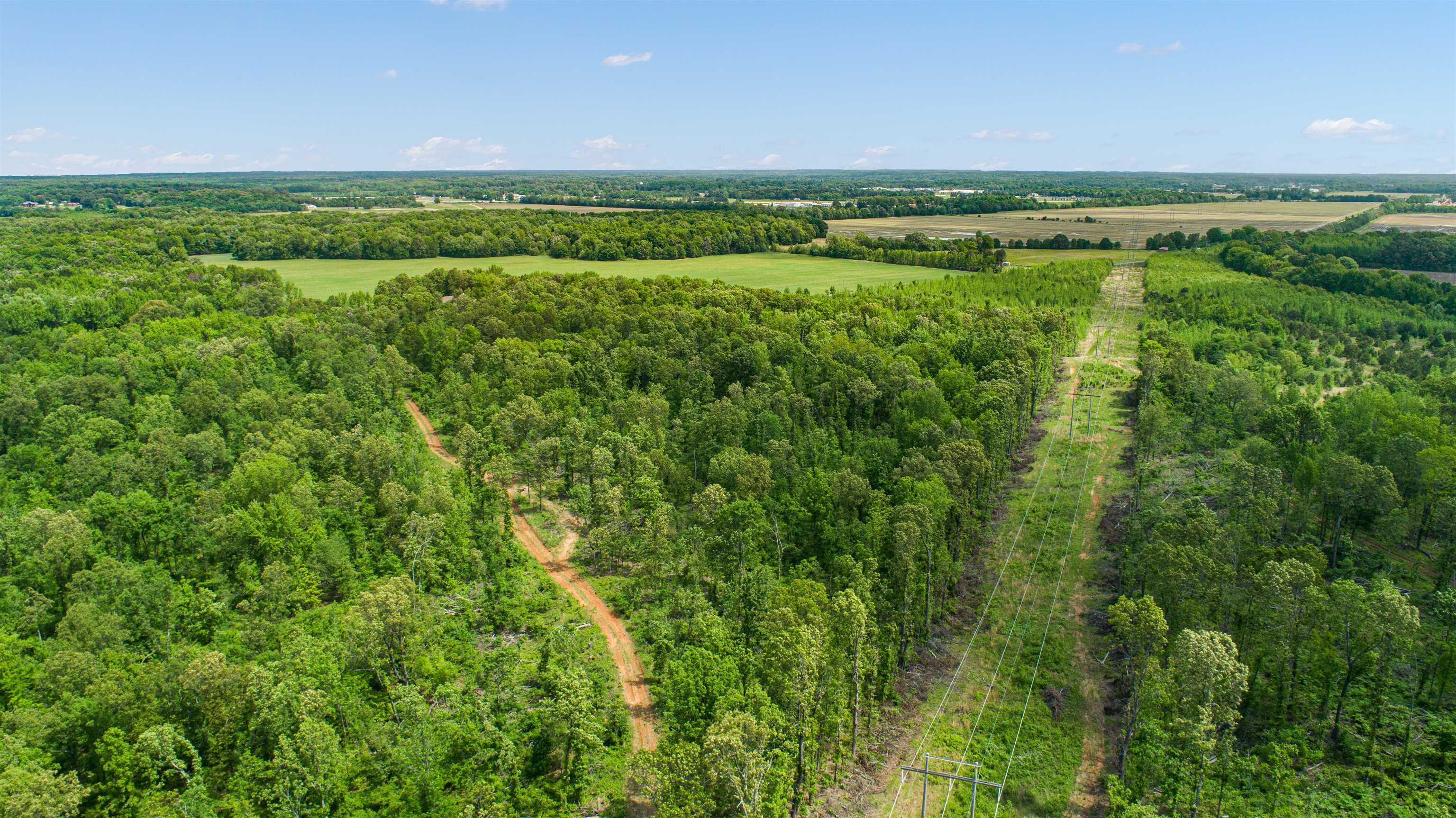 80.24 Acres Cr 114 Property Photo 2