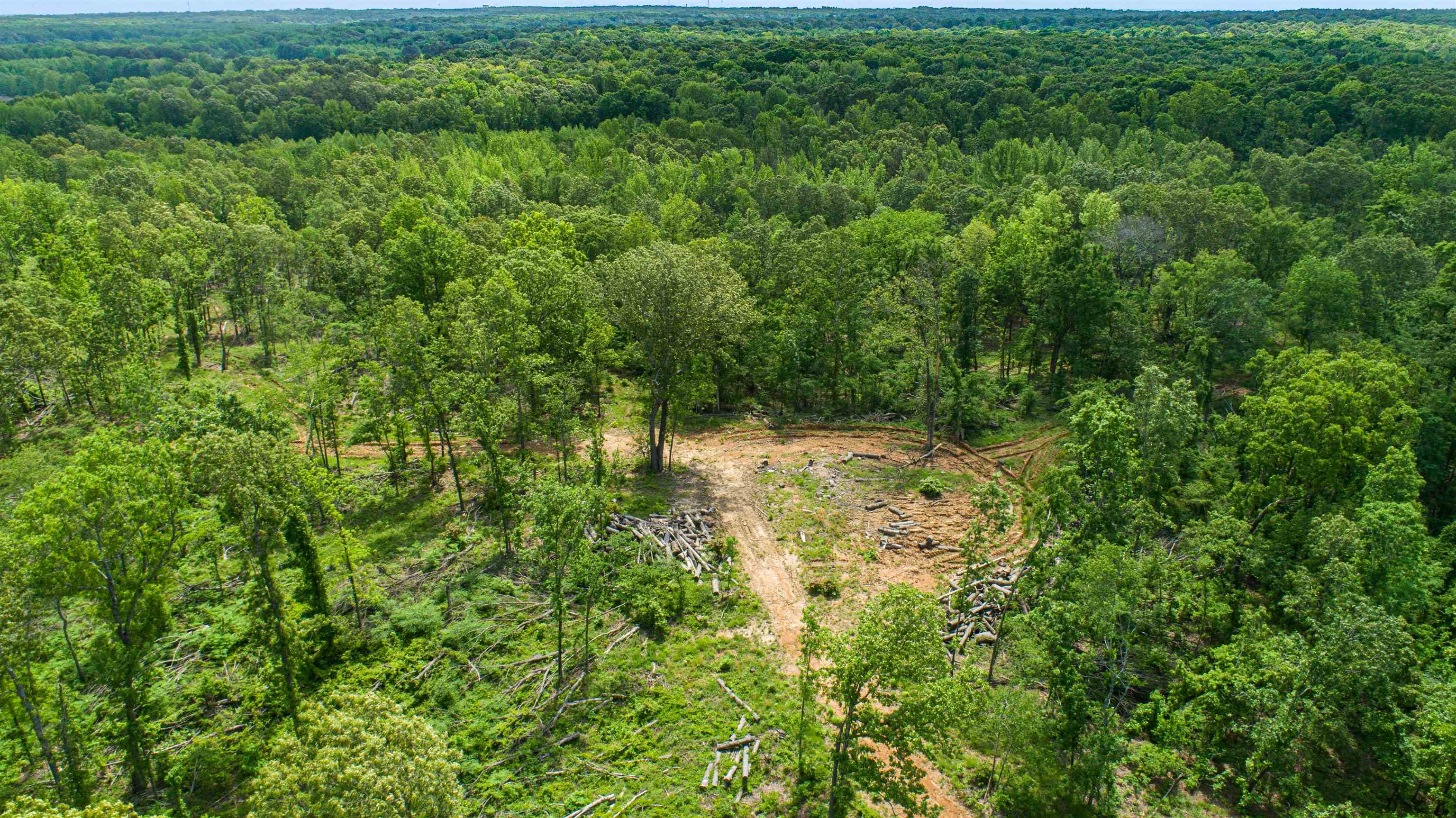 80.24 Acres Cr 114 Property Photo 3