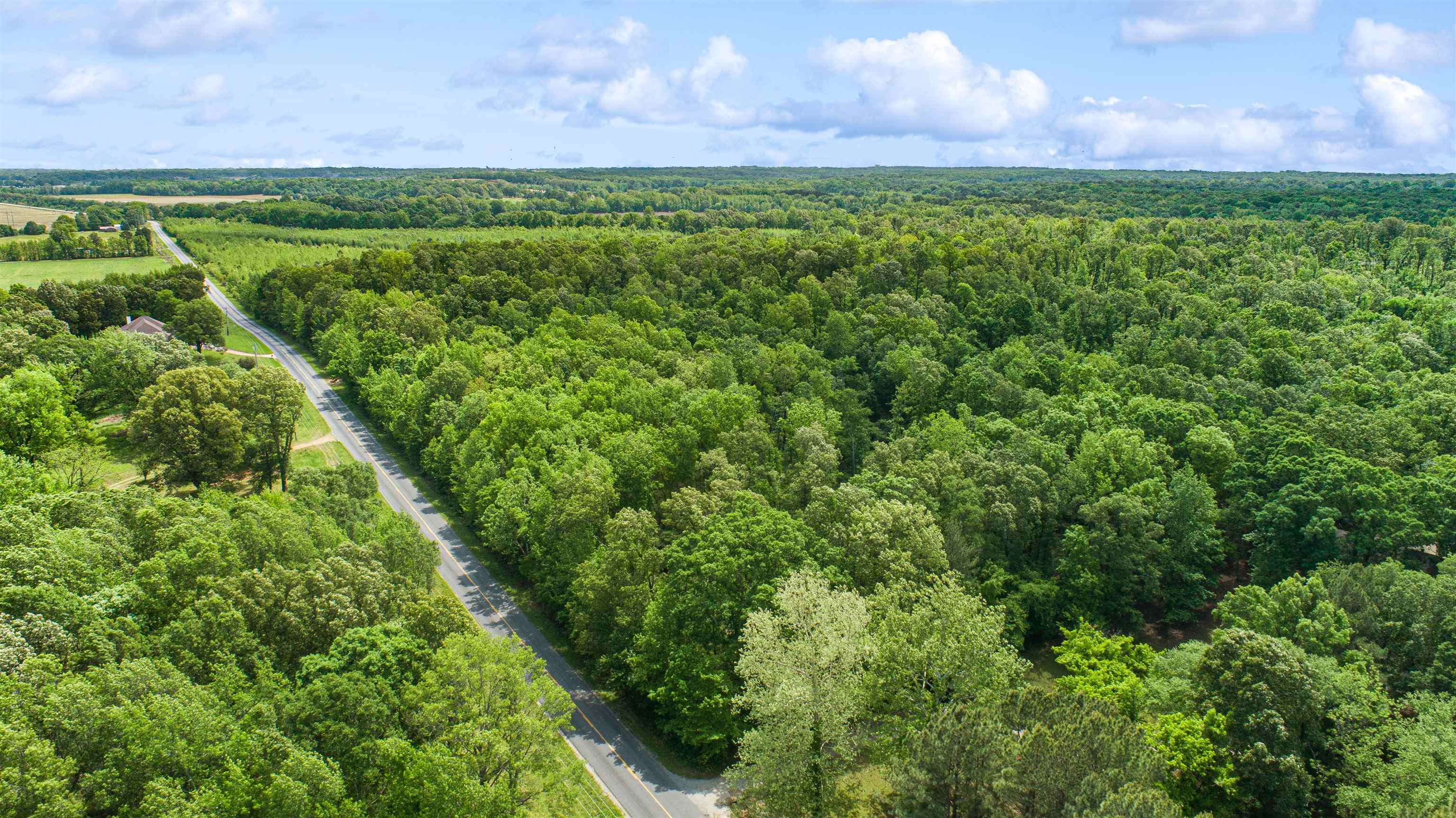 80.24 Acres Cr 114 Property Photo 5
