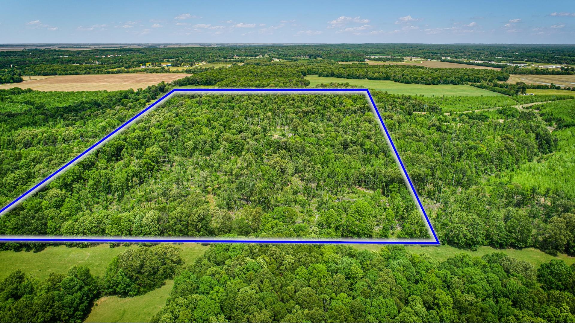 80.24 Acres Cr 114 Property Photo 8