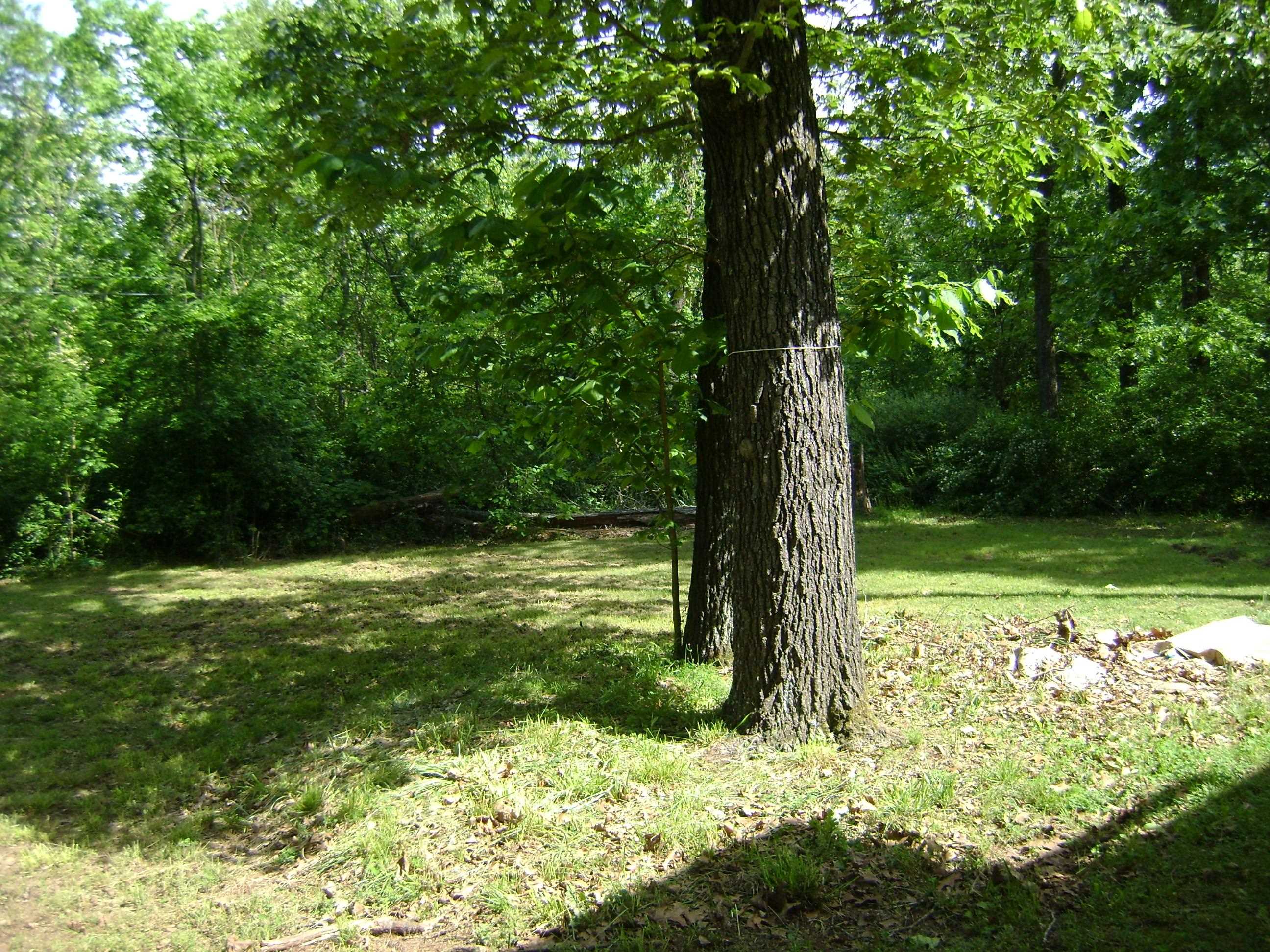 305 Bambi Lane Property Photo 6
