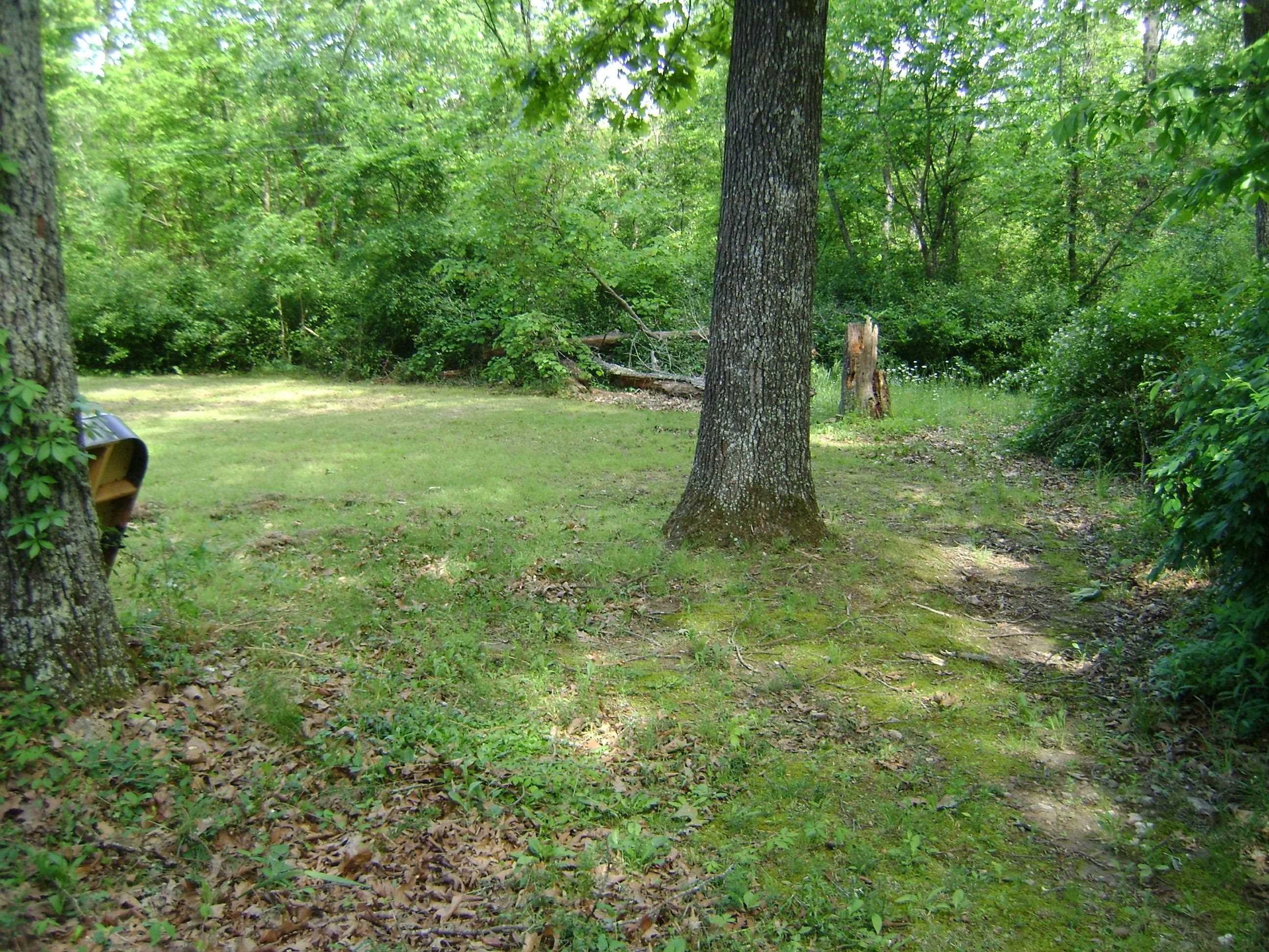 305 Bambi Lane Property Photo 13