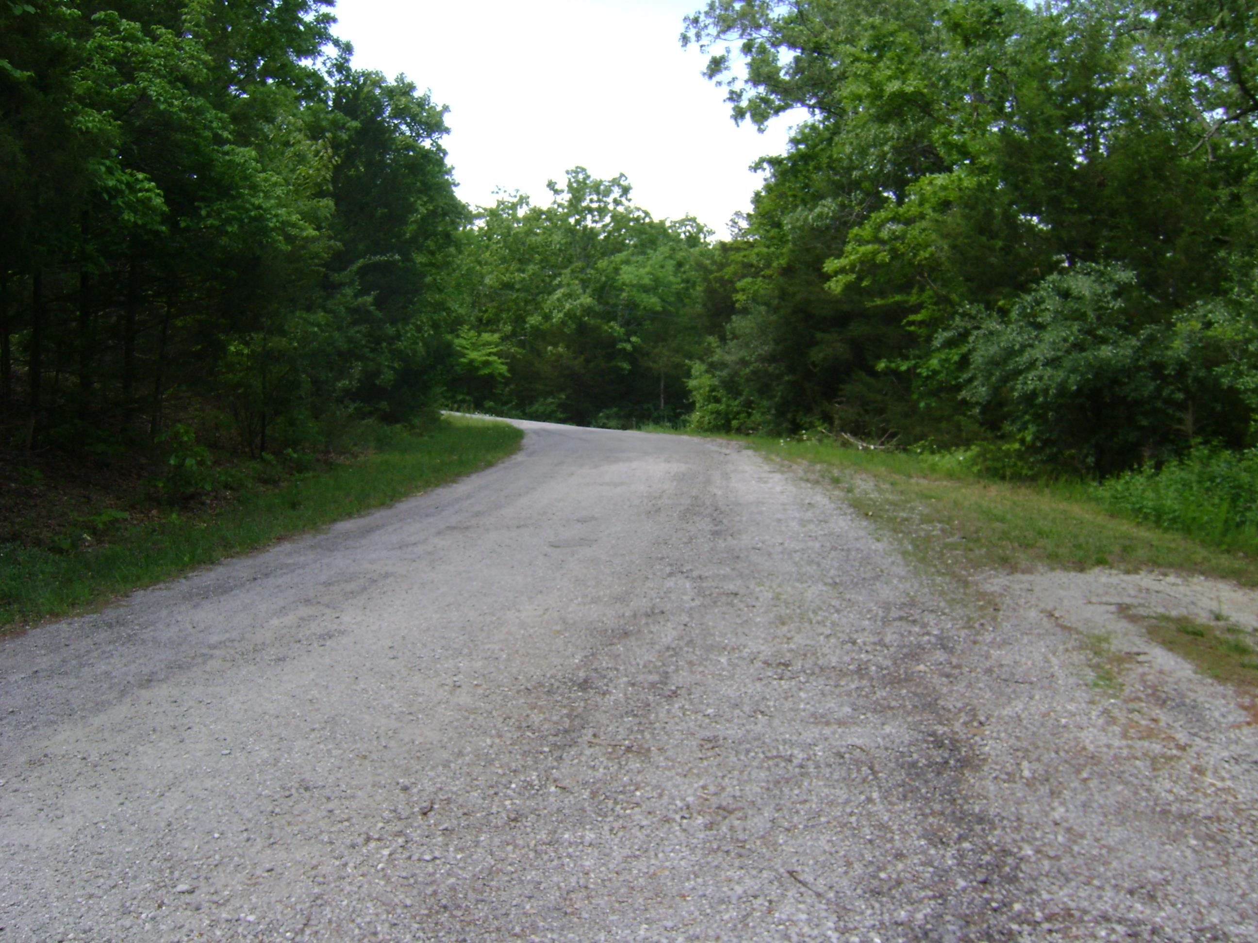 305 Bambi Lane Property Photo 18