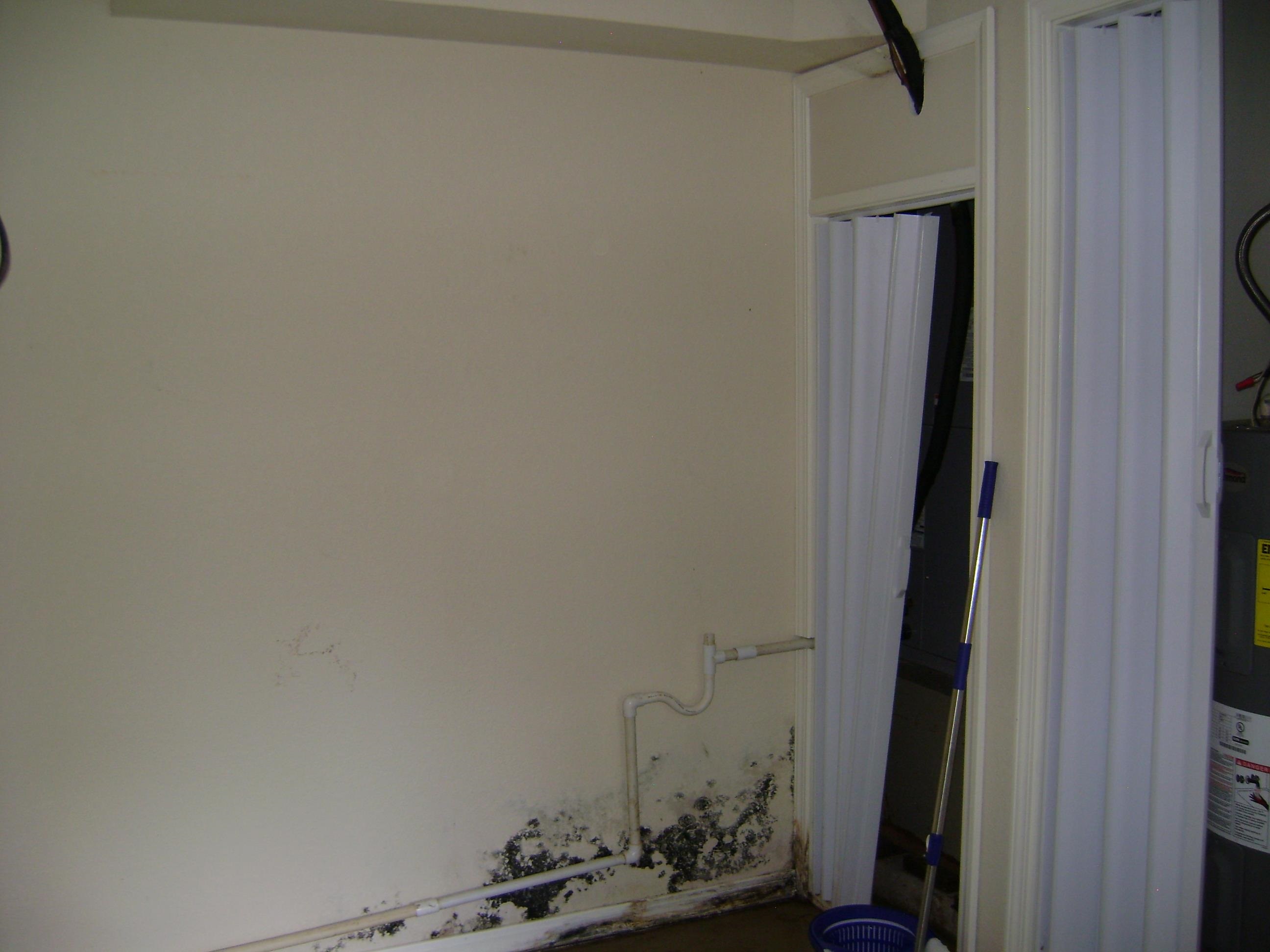 305 Bambi Lane Property Photo 40