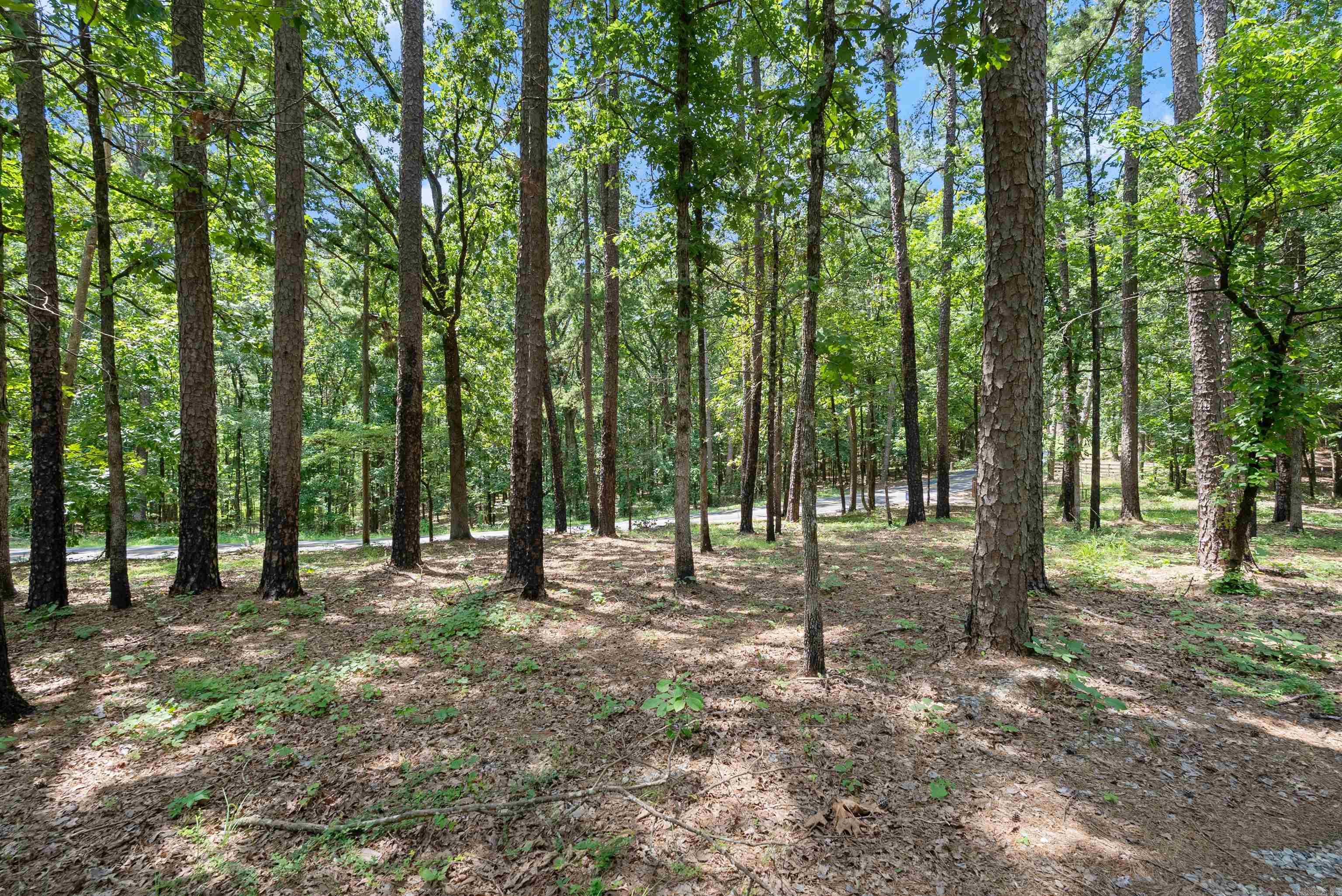 1516 E Lawson Road Property Photo 1