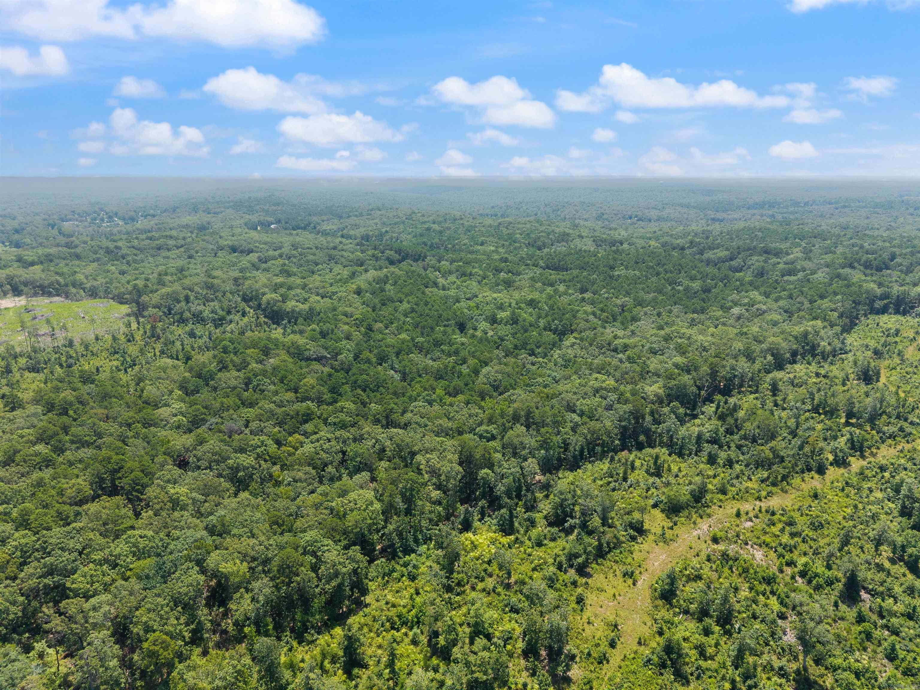 1516 E Lawson Road Property Photo 8
