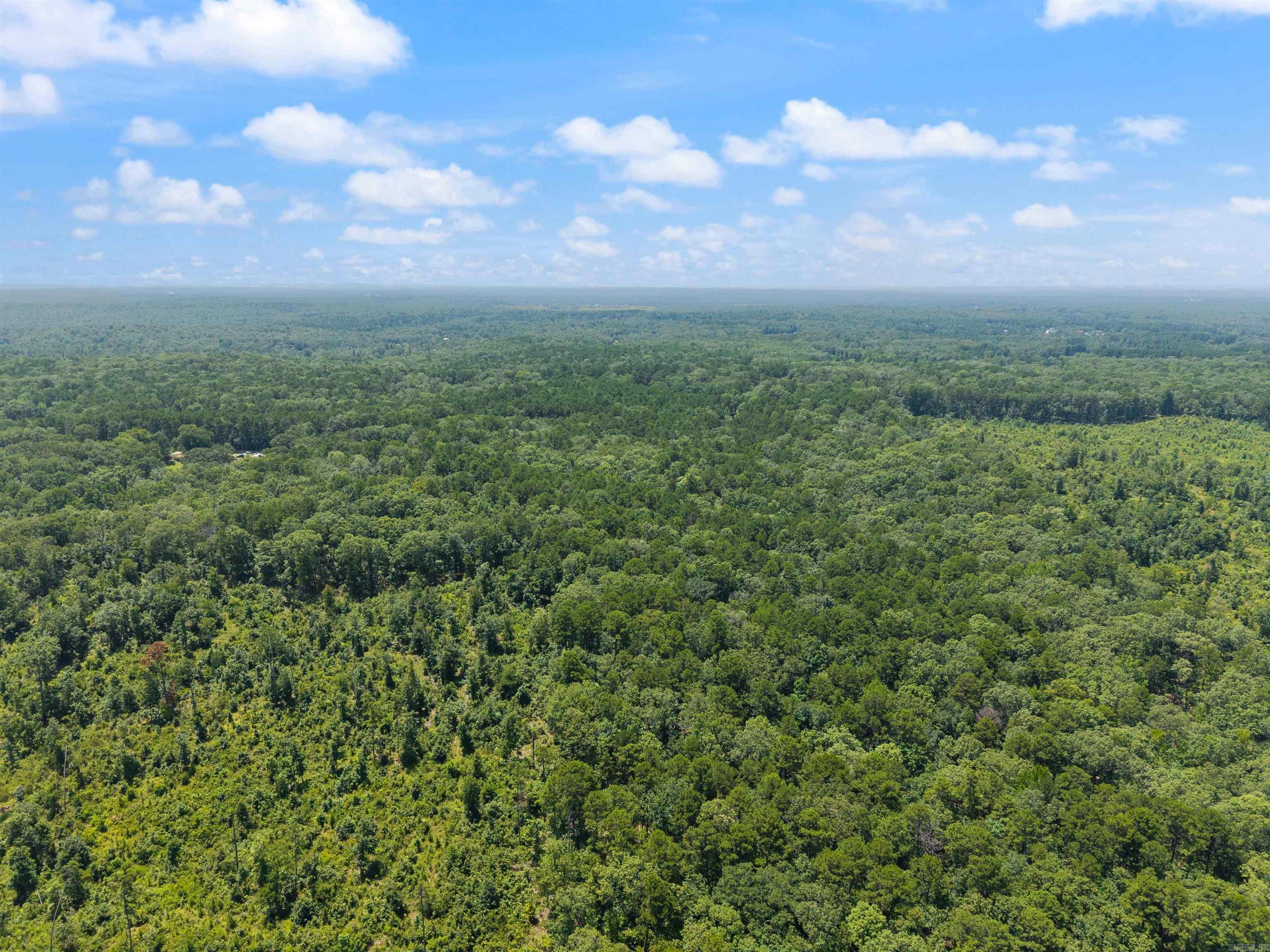 1516 E Lawson Road Property Photo 10