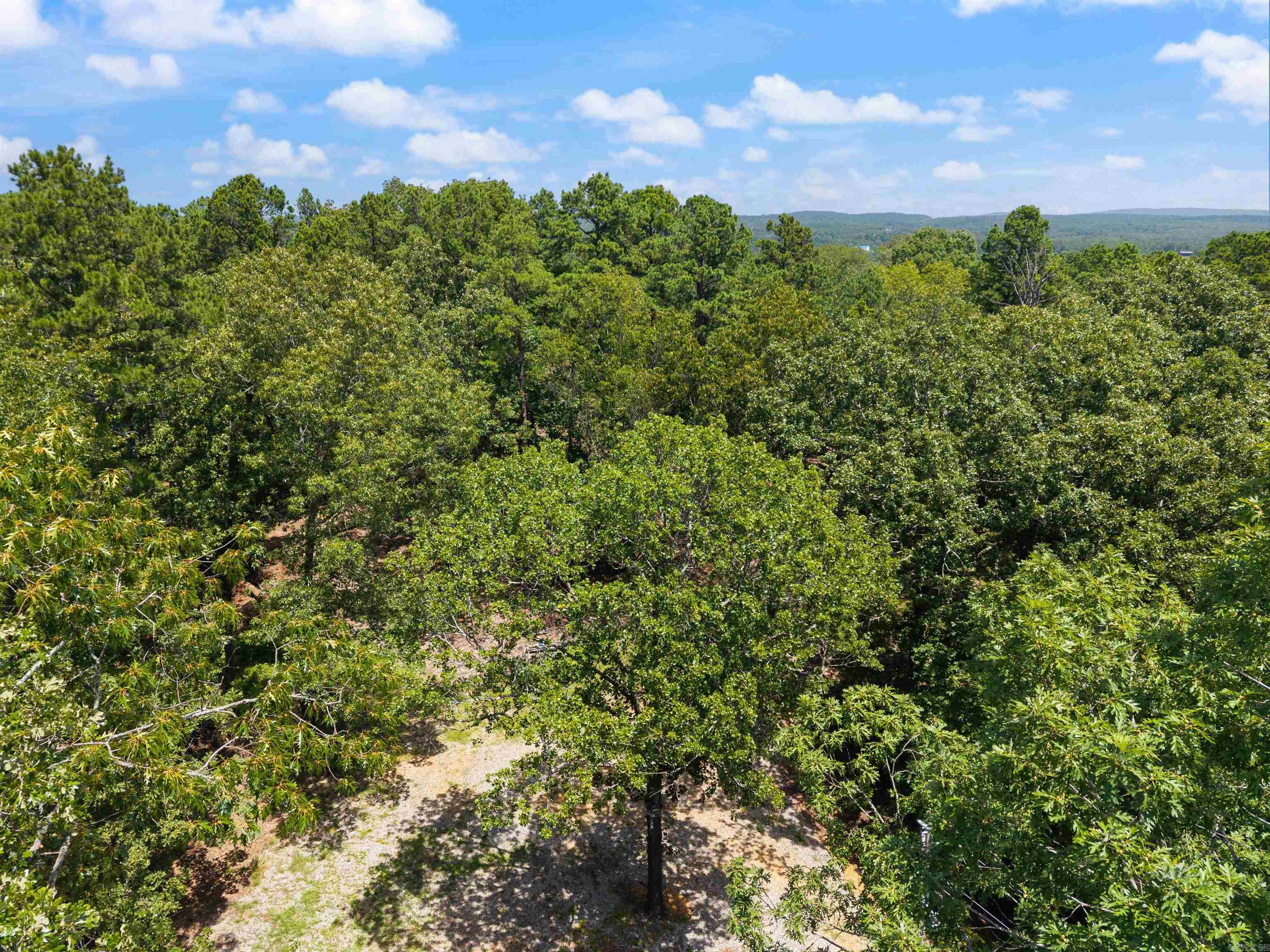 1516 E Lawson Road Property Photo 16