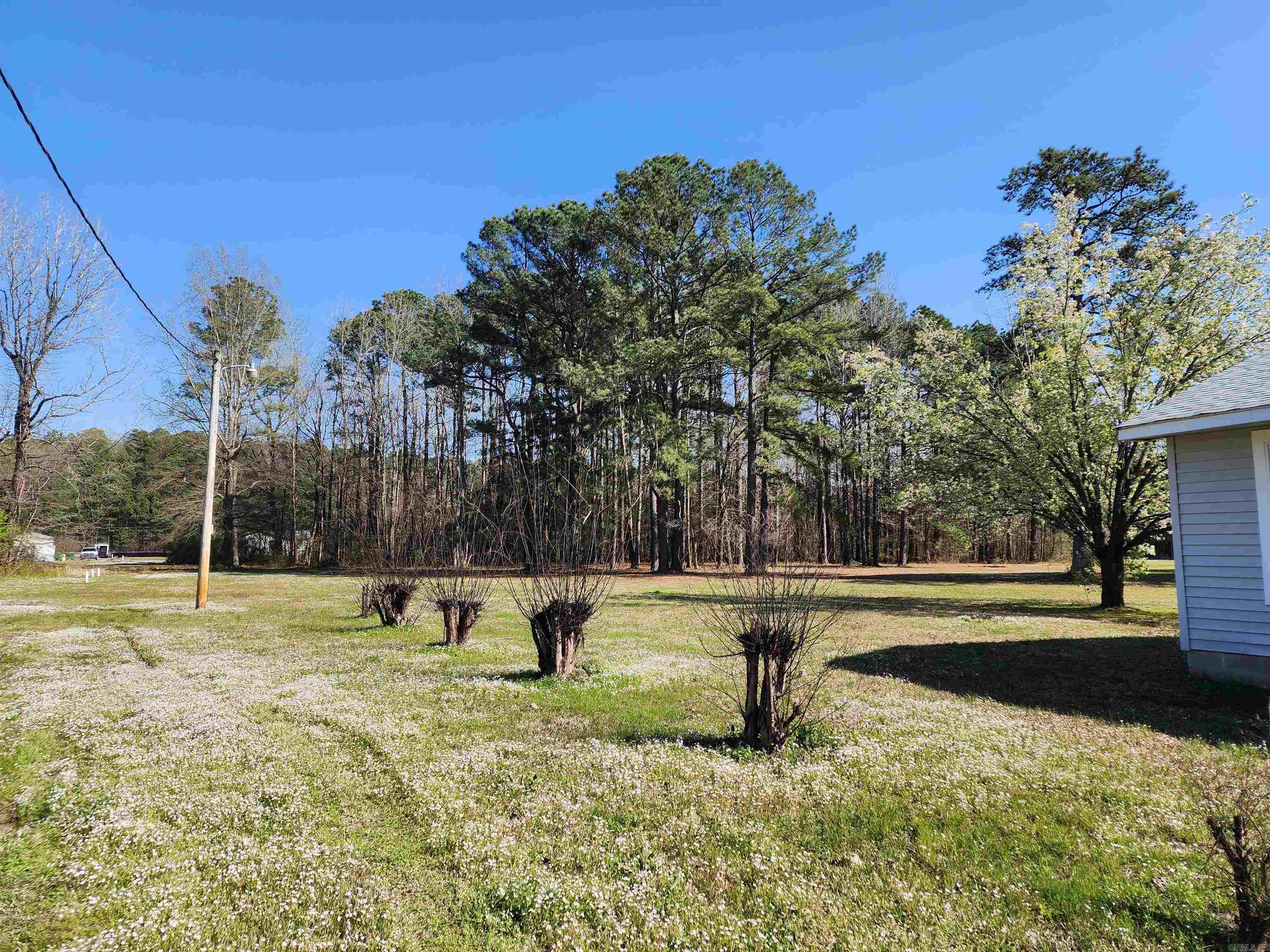 3629 Williams Road Property Photo 4