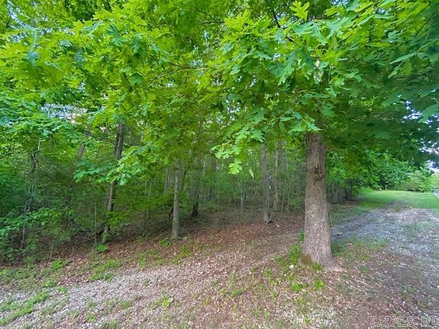 Lick Fork Drive Property Photo 2