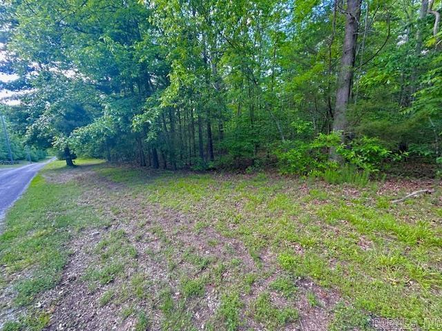 Lick Fork Drive Property Photo 3