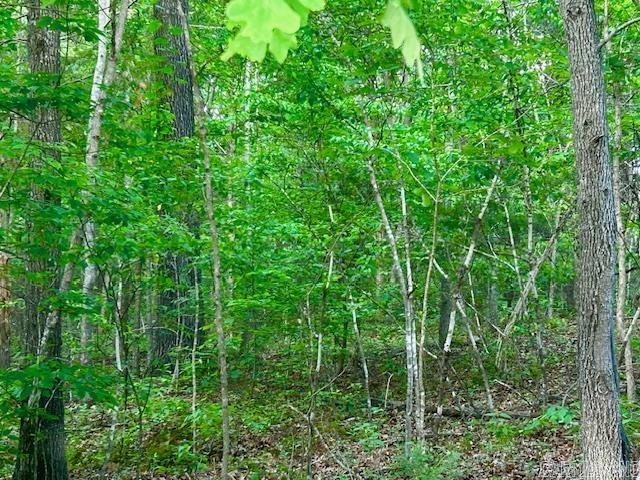 Lick Fork Drive Property Photo 5