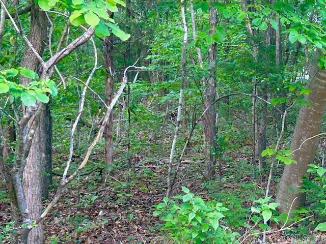 Lick Fork Drive Property Photo 6