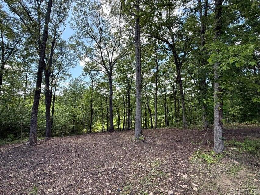 985 Gap Road Property Photo 34