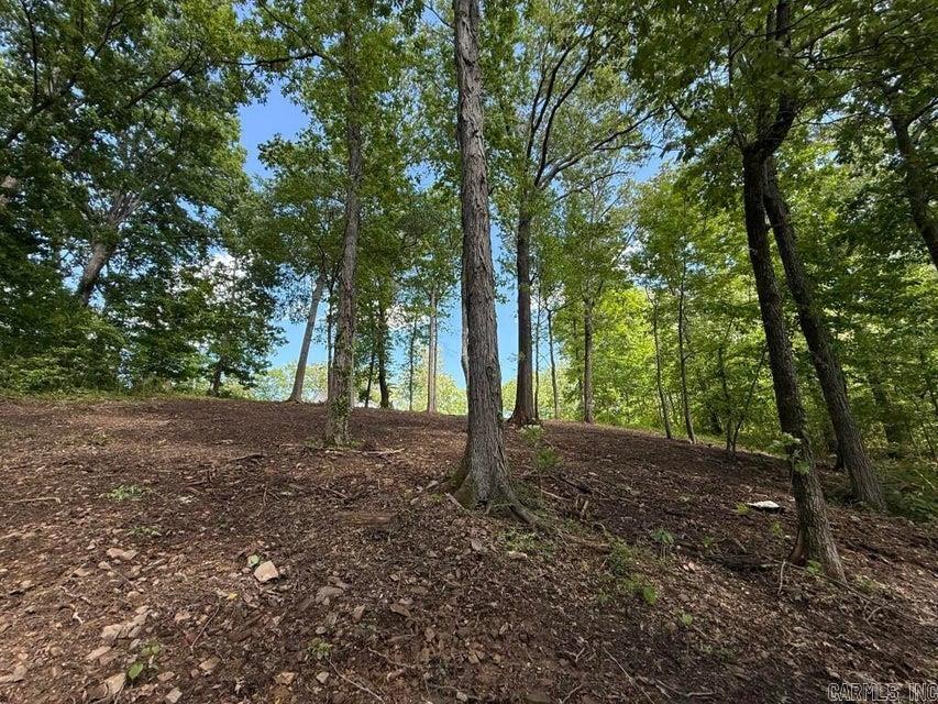 985 Gap Road Property Photo 35