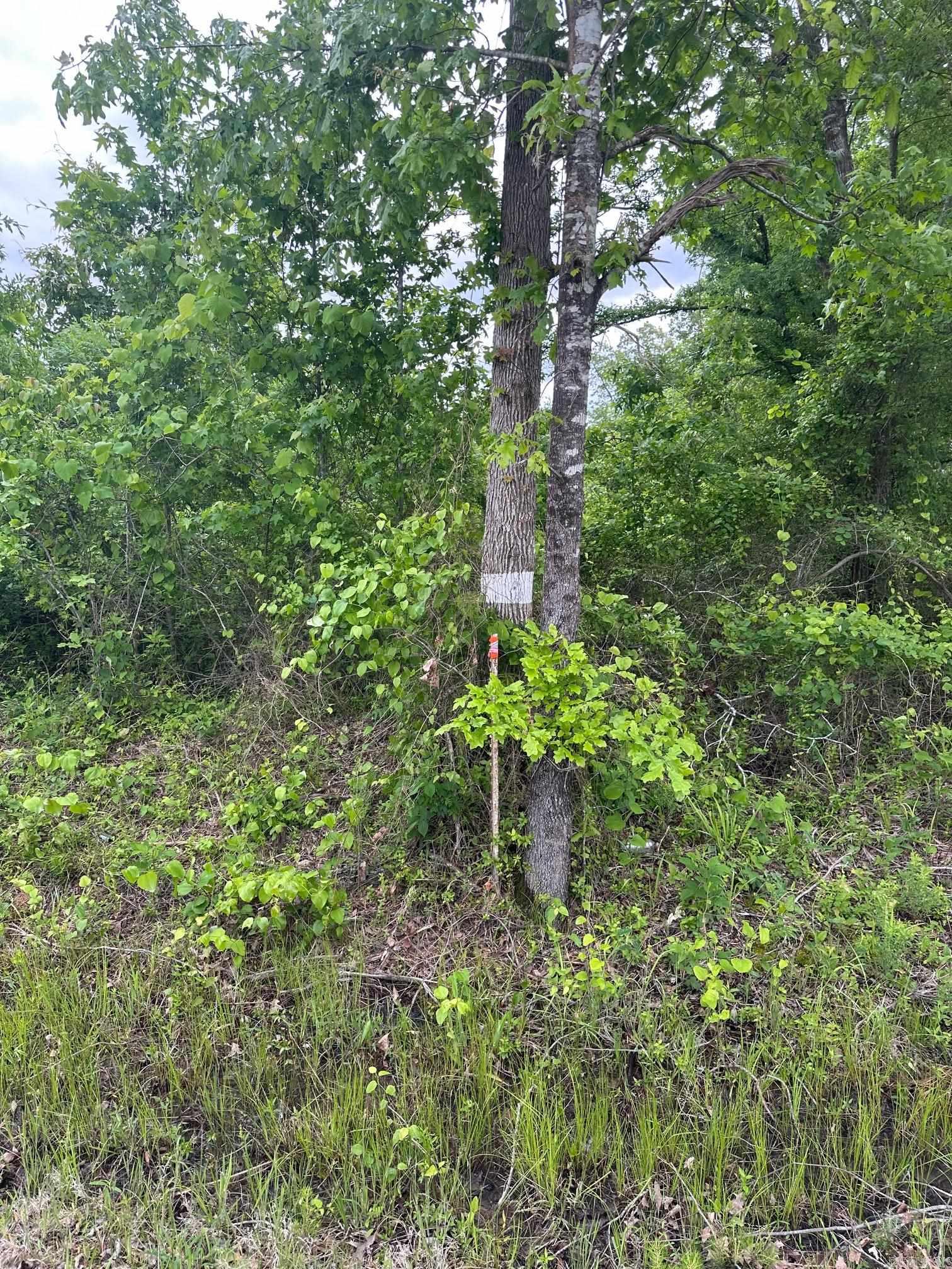 Ashley Rd 302 Property Photo 1