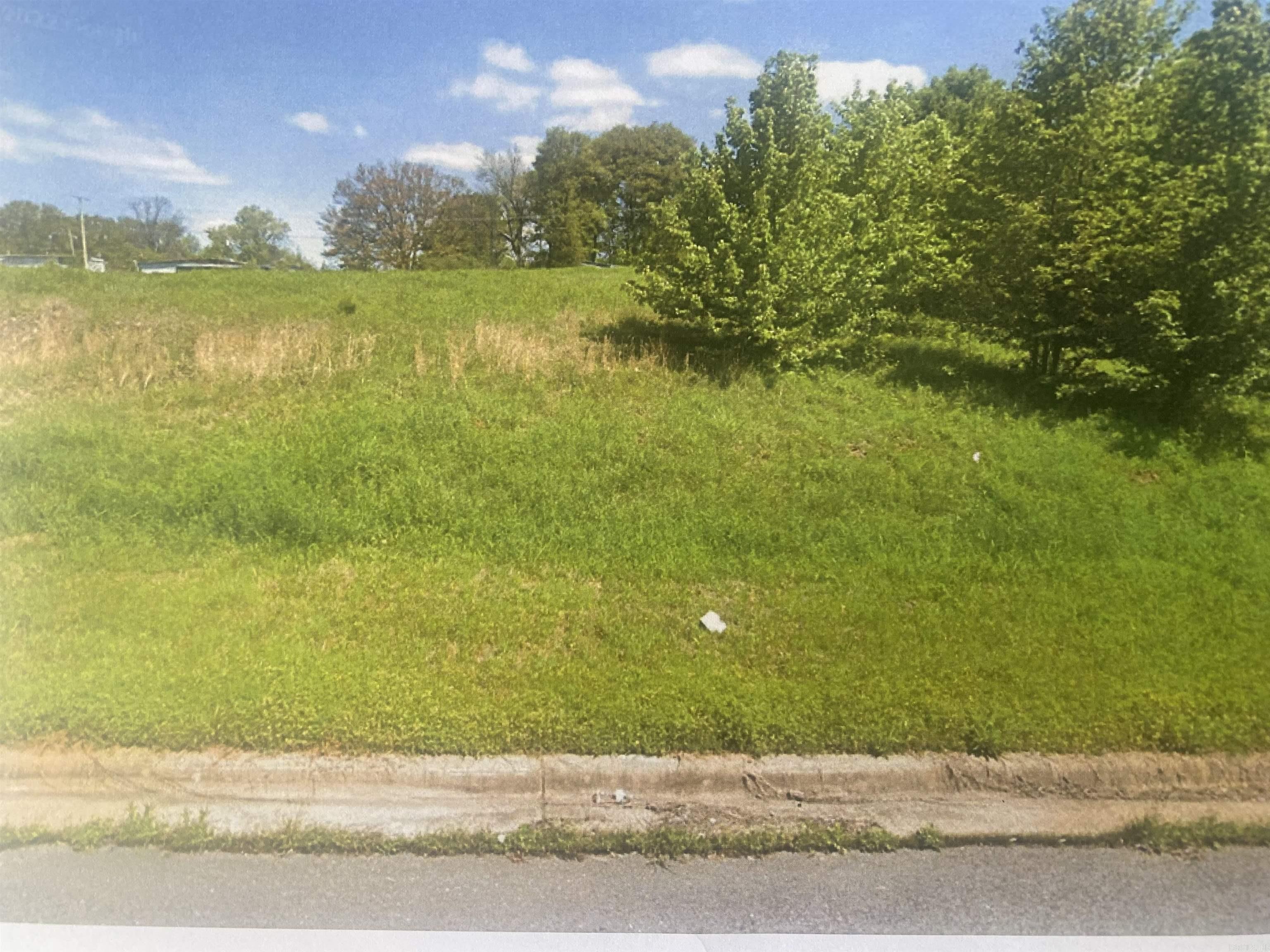 Lot 6 Hwy 161 & McCain Park Pl Property Photo 1