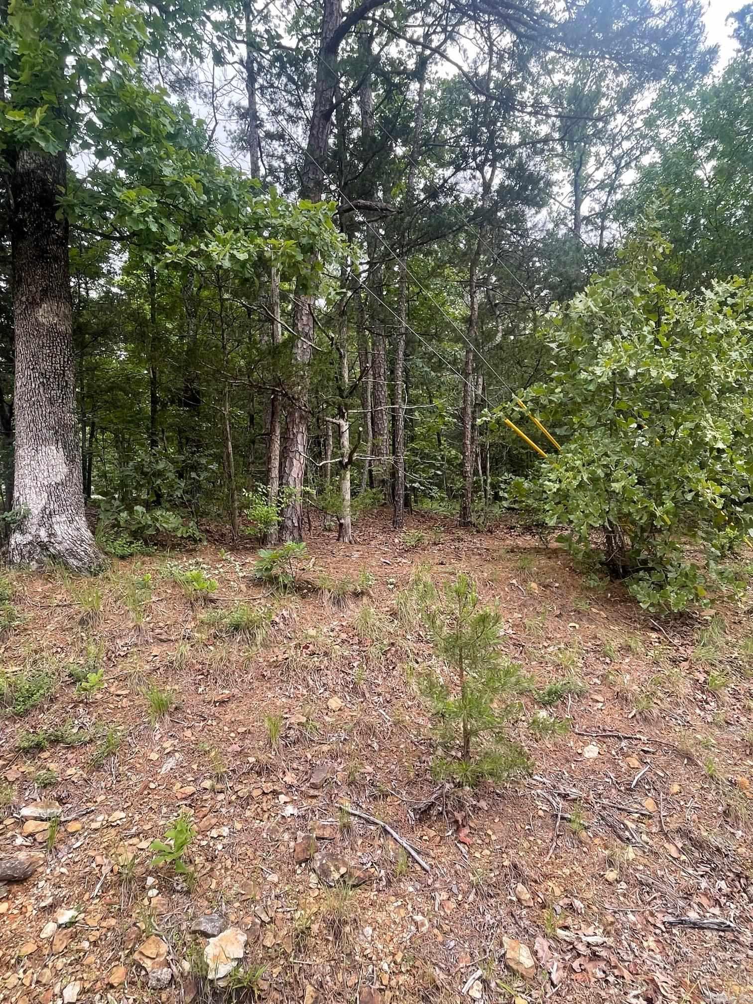 Lots 286 & 287 Ridgeview Drive Property Photo 1
