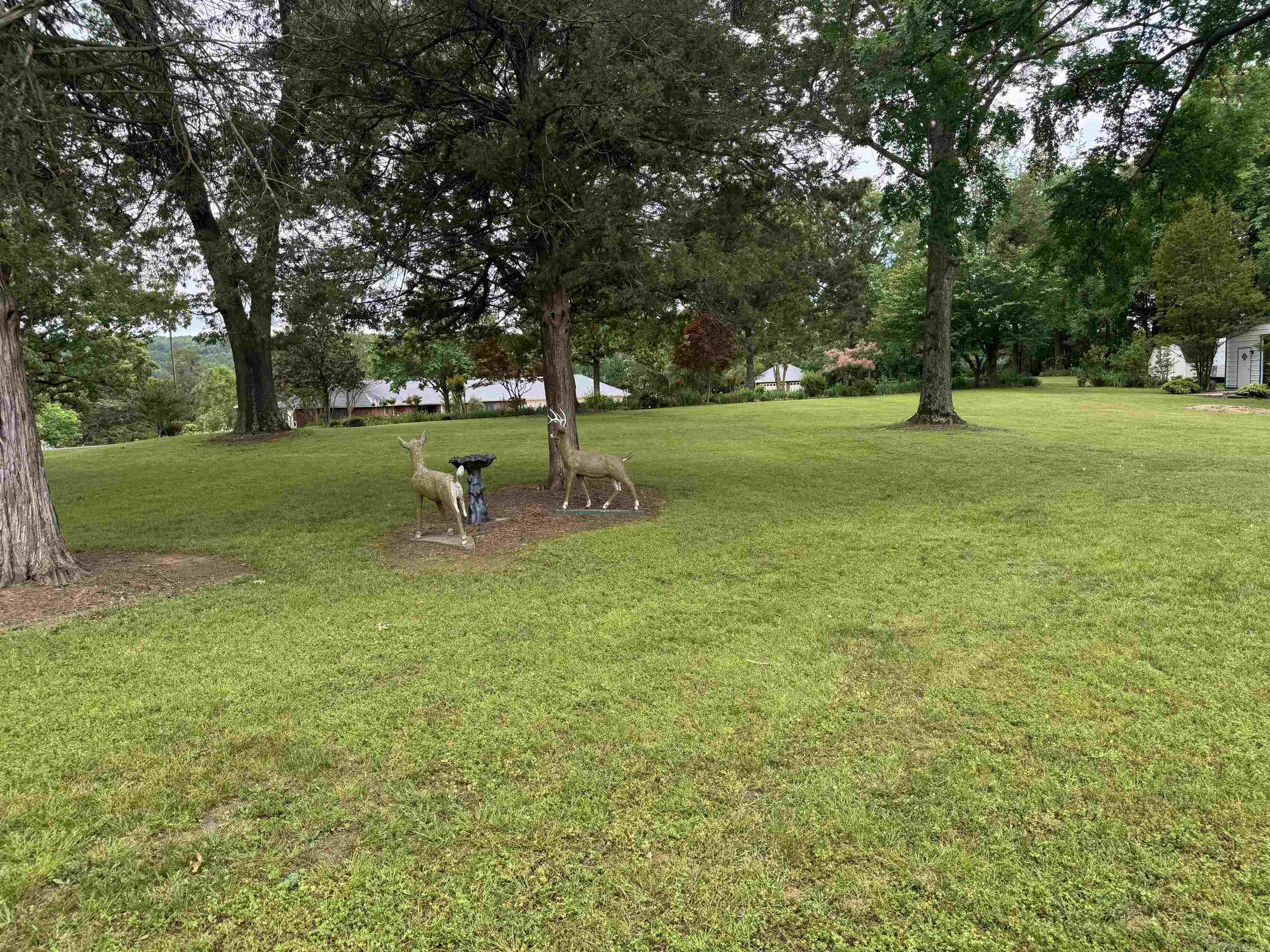 175 County Road 2733 Property Photo 36