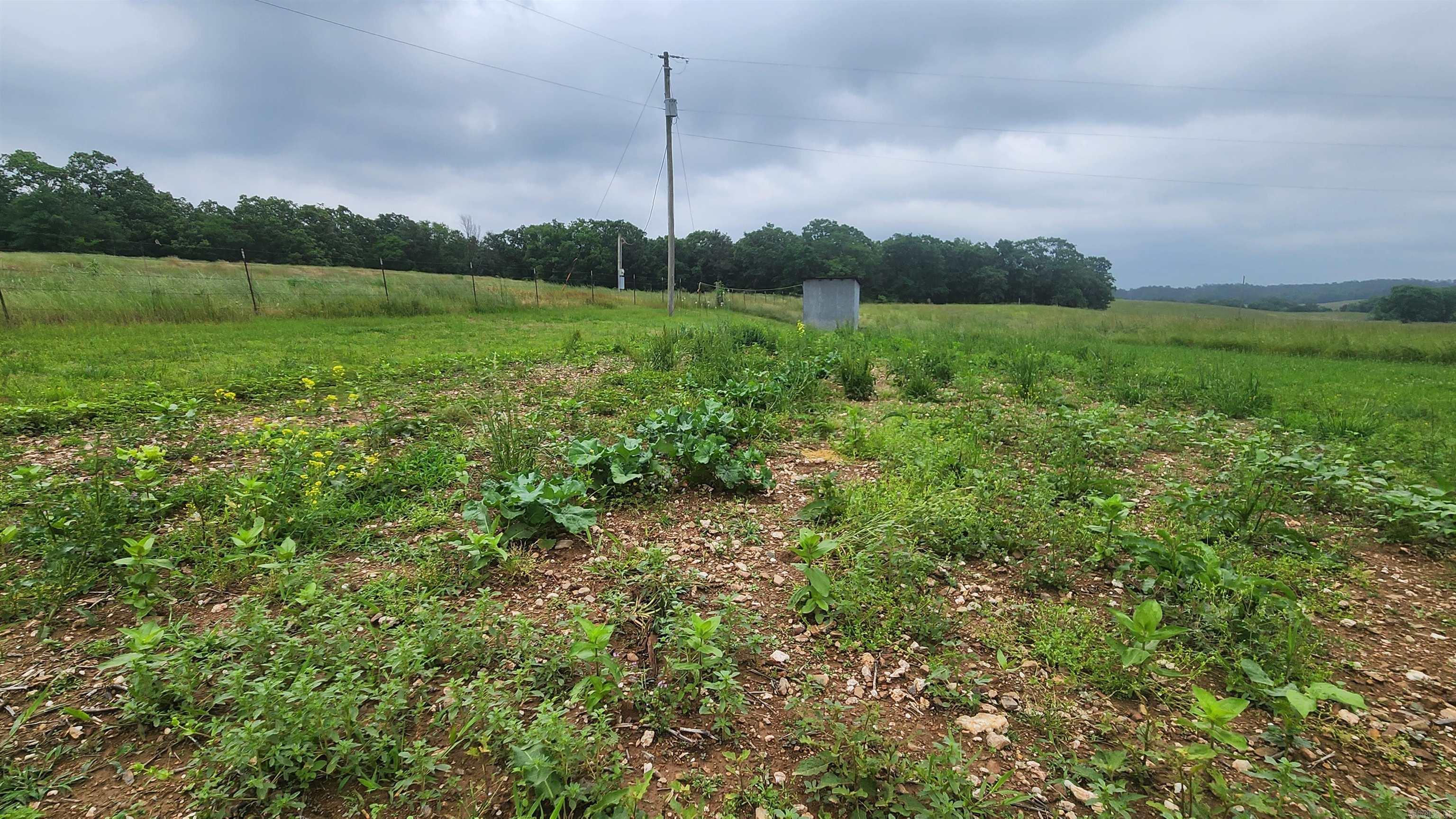 Tbd Murphy Rd Property Photo 11