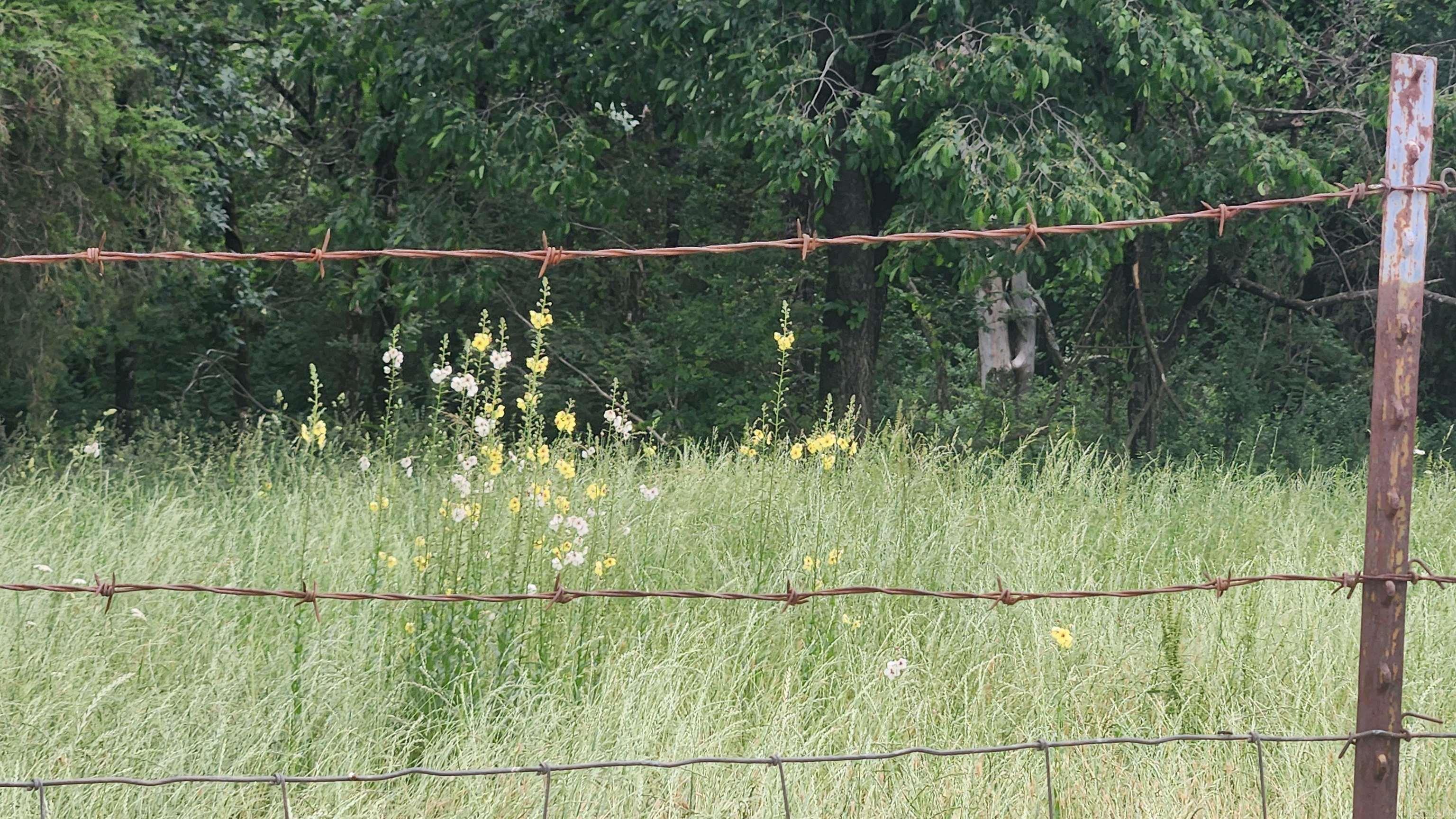 Tbd Murphy Rd Property Photo 18