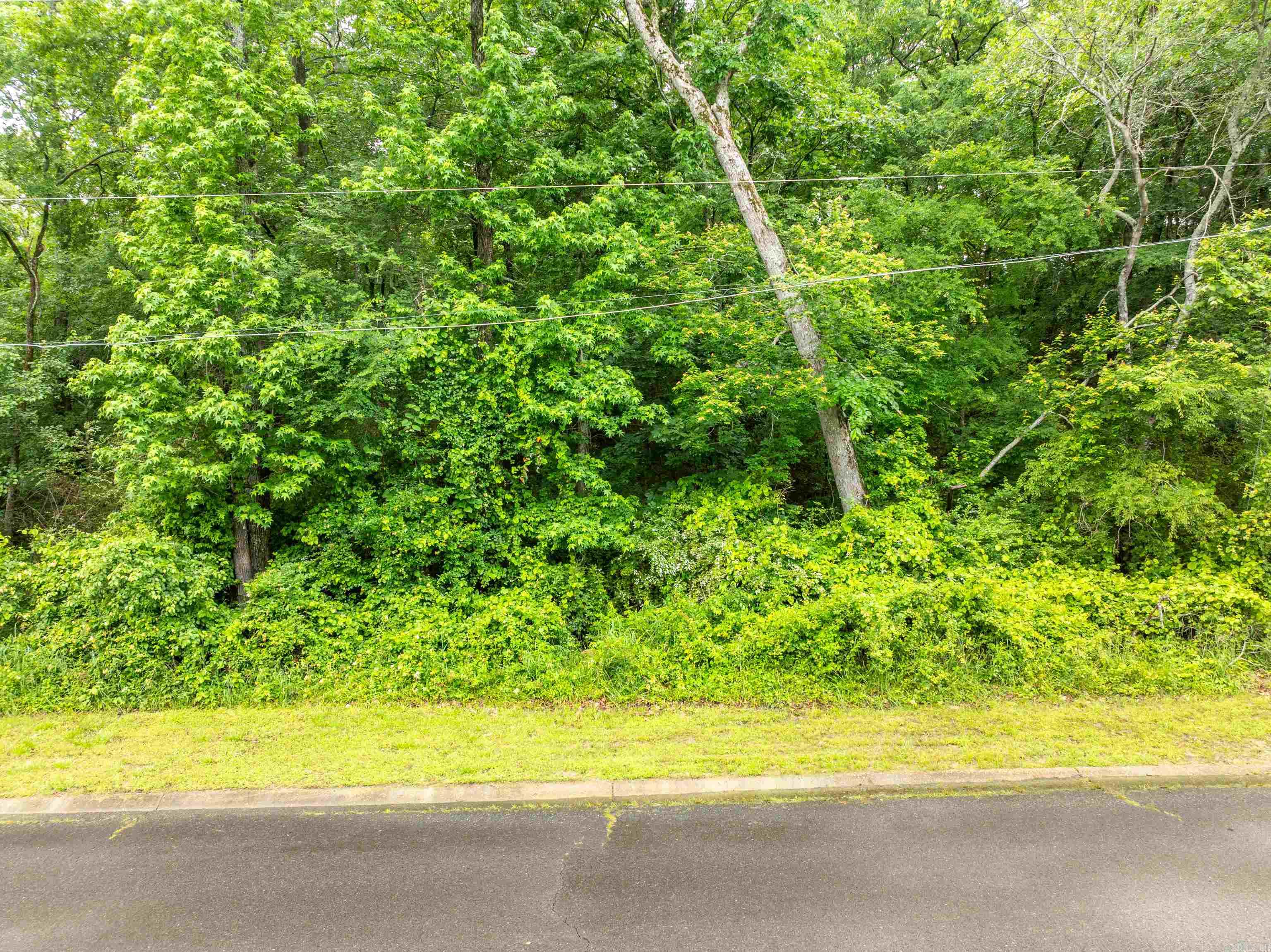 Lots 12 & 13 Apache Street Property Photo 8