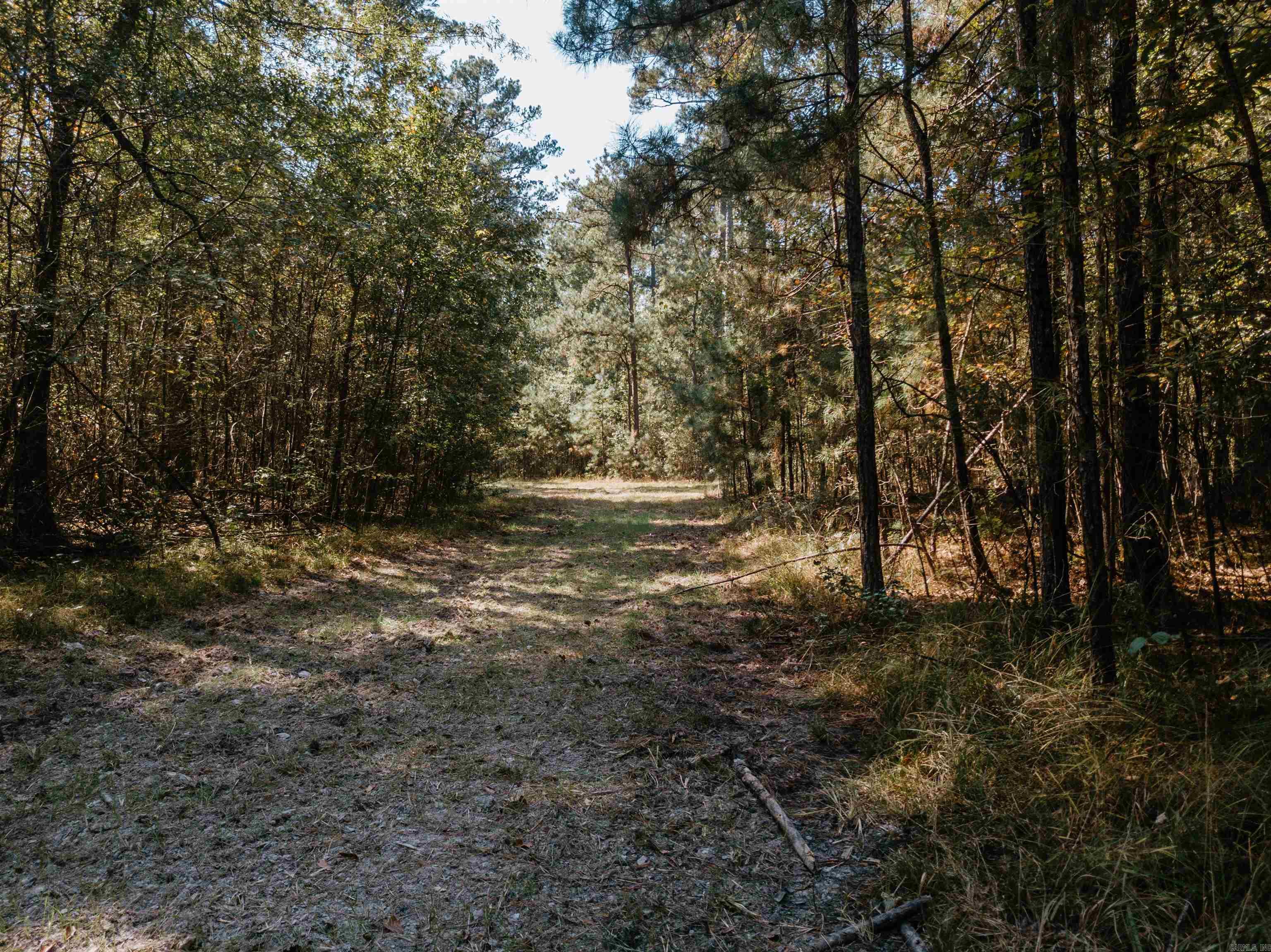 000 Opitz Road Property Photo 6