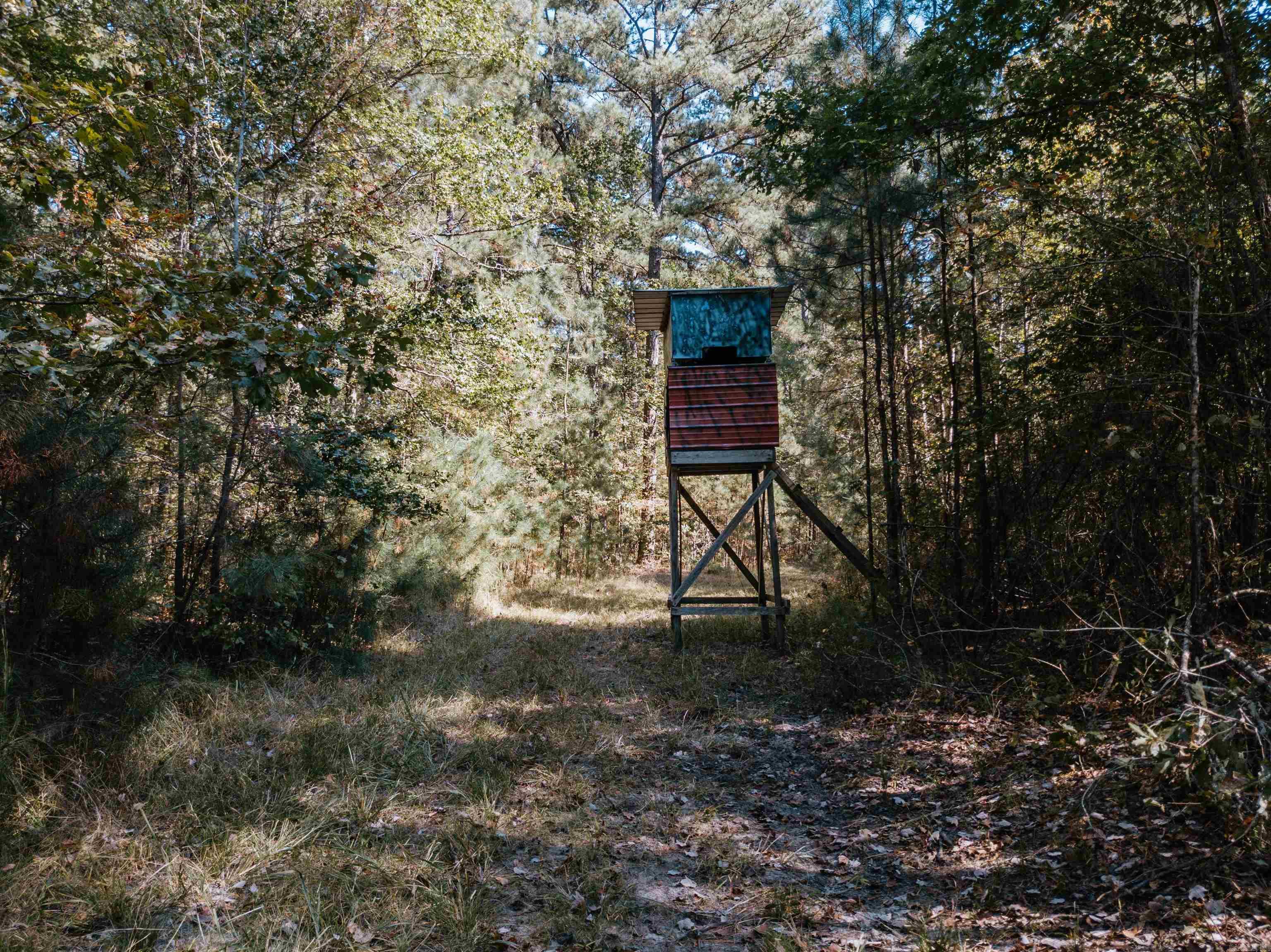 000 Opitz Road Property Photo 7