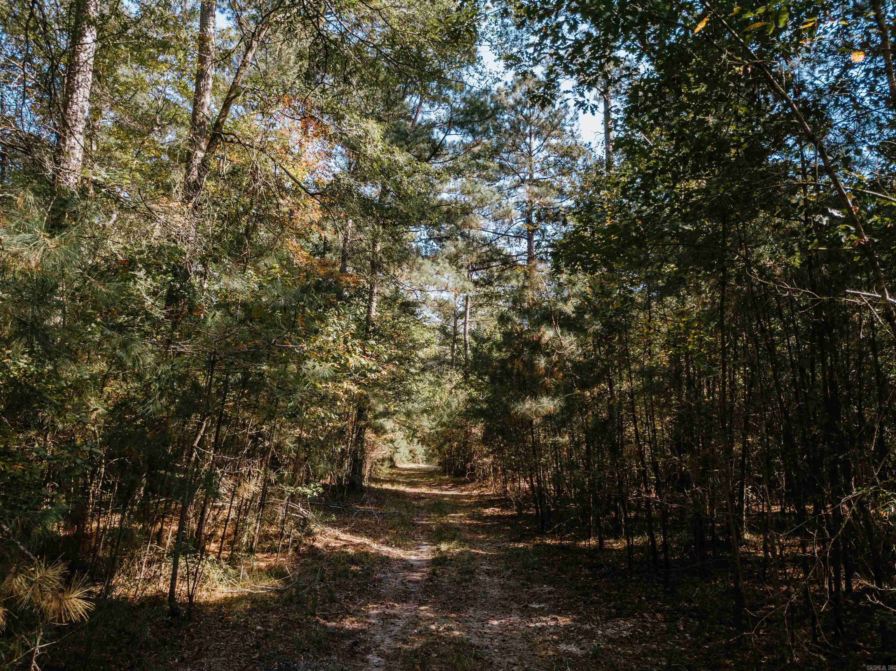 000 Opitz Road Property Photo 12