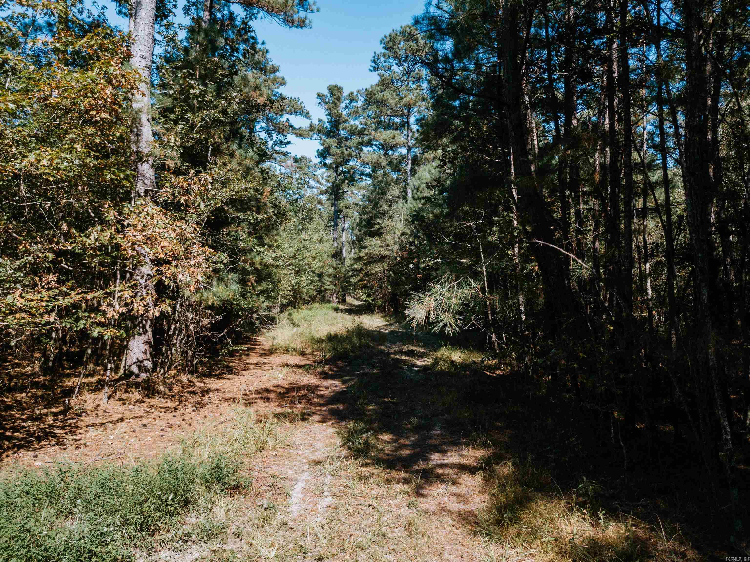 000 Opitz Road Property Photo 14