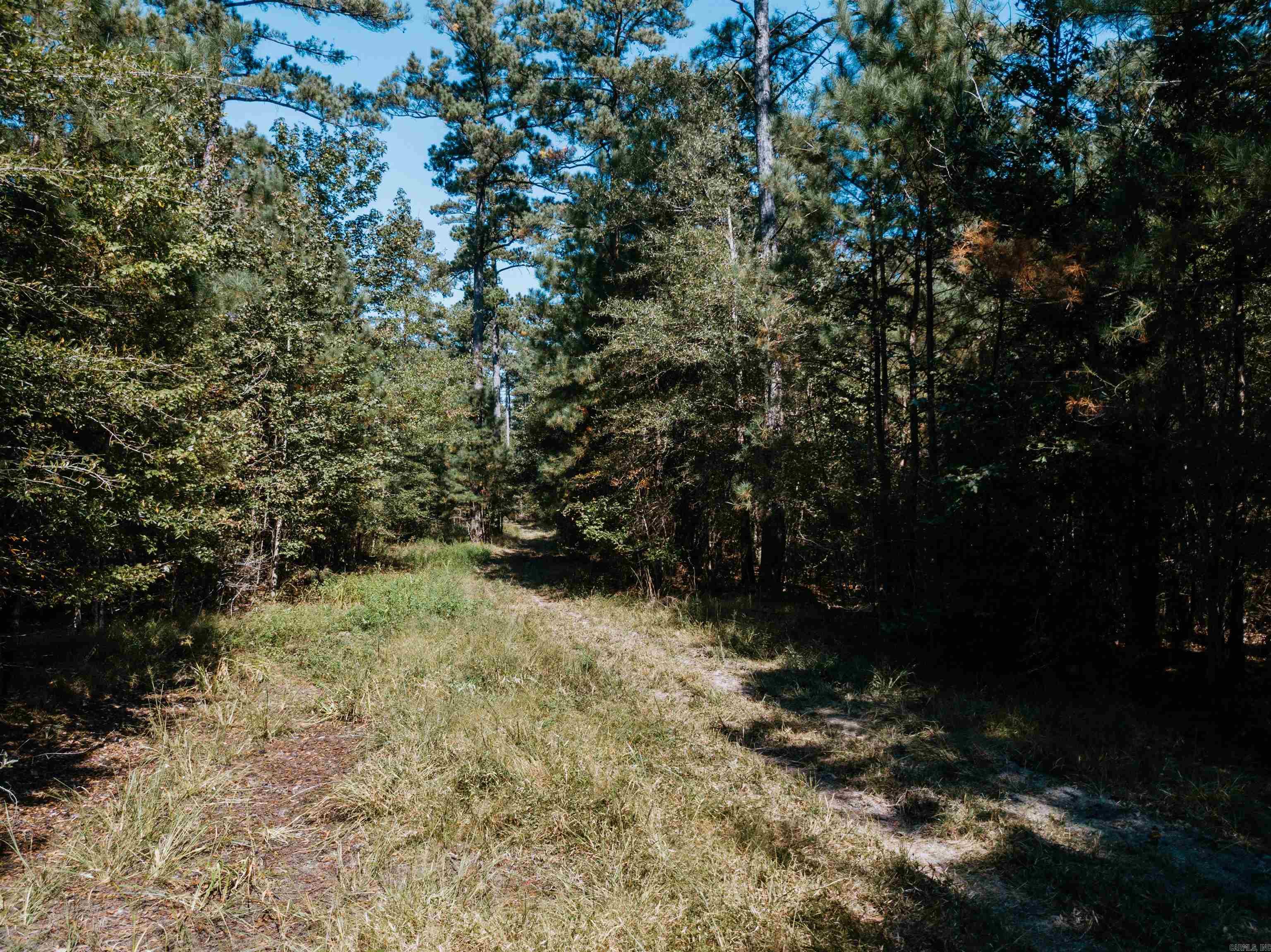 000 Opitz Road Property Photo 15