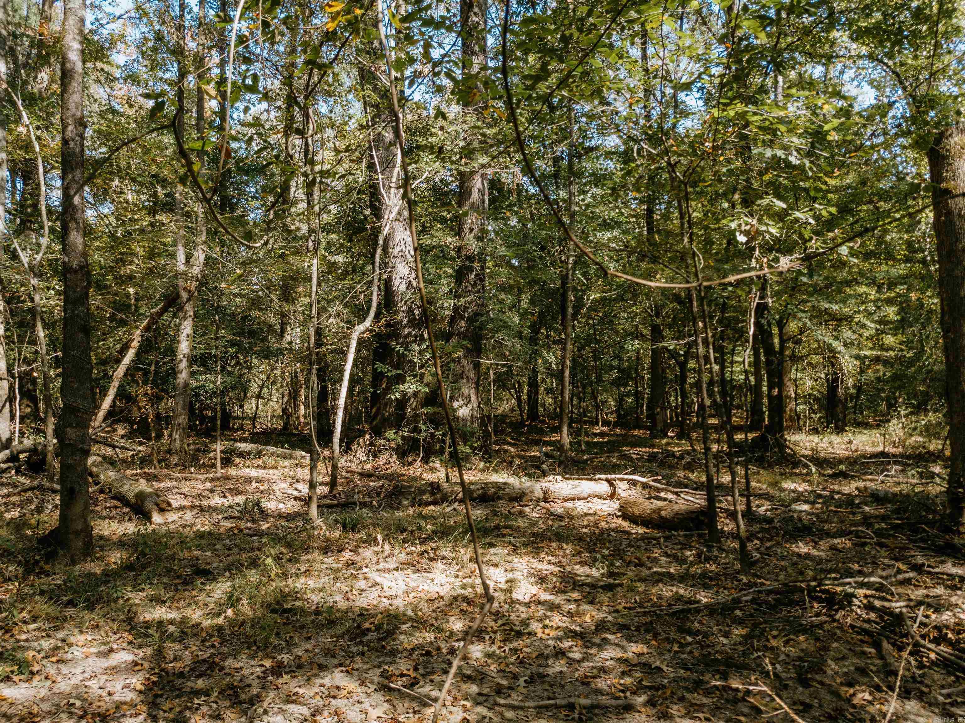 000 Opitz Road Property Photo 34