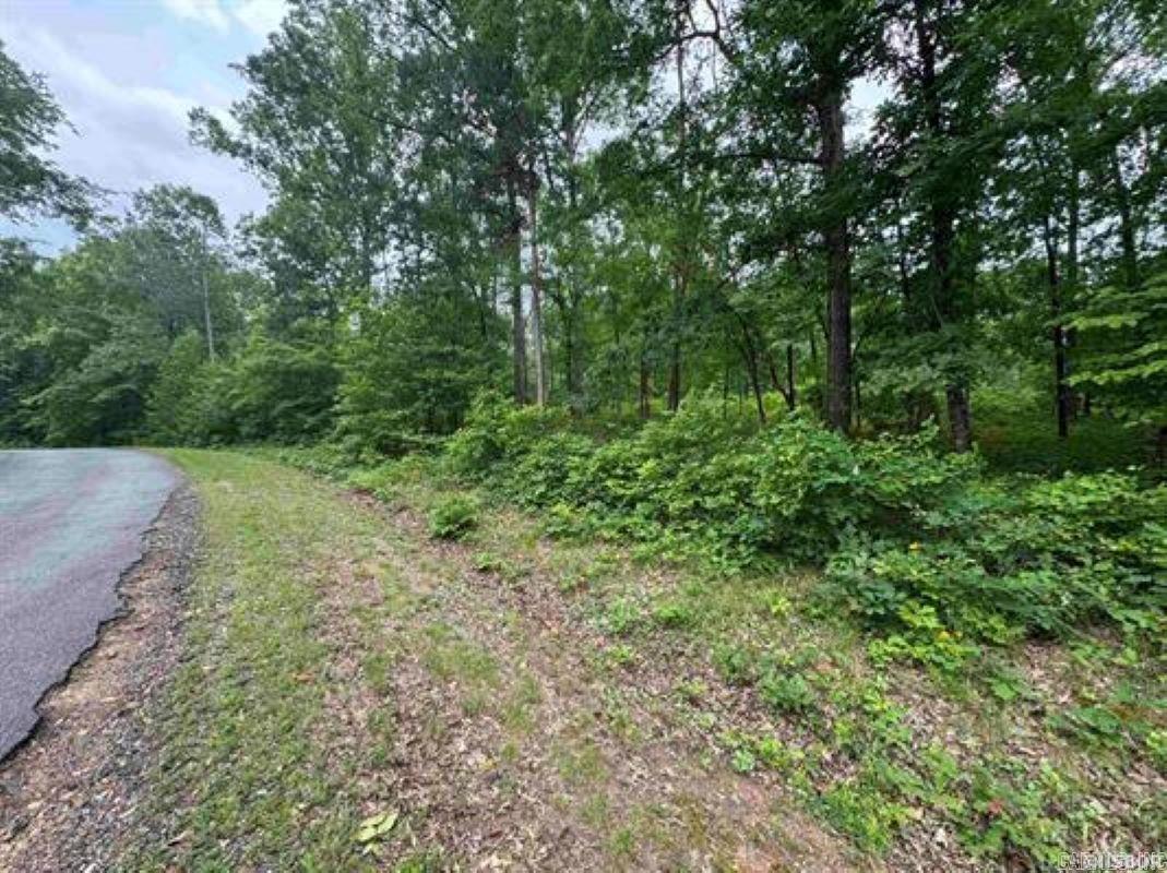 Lot 3251 Ohio Drive Property Photo 2