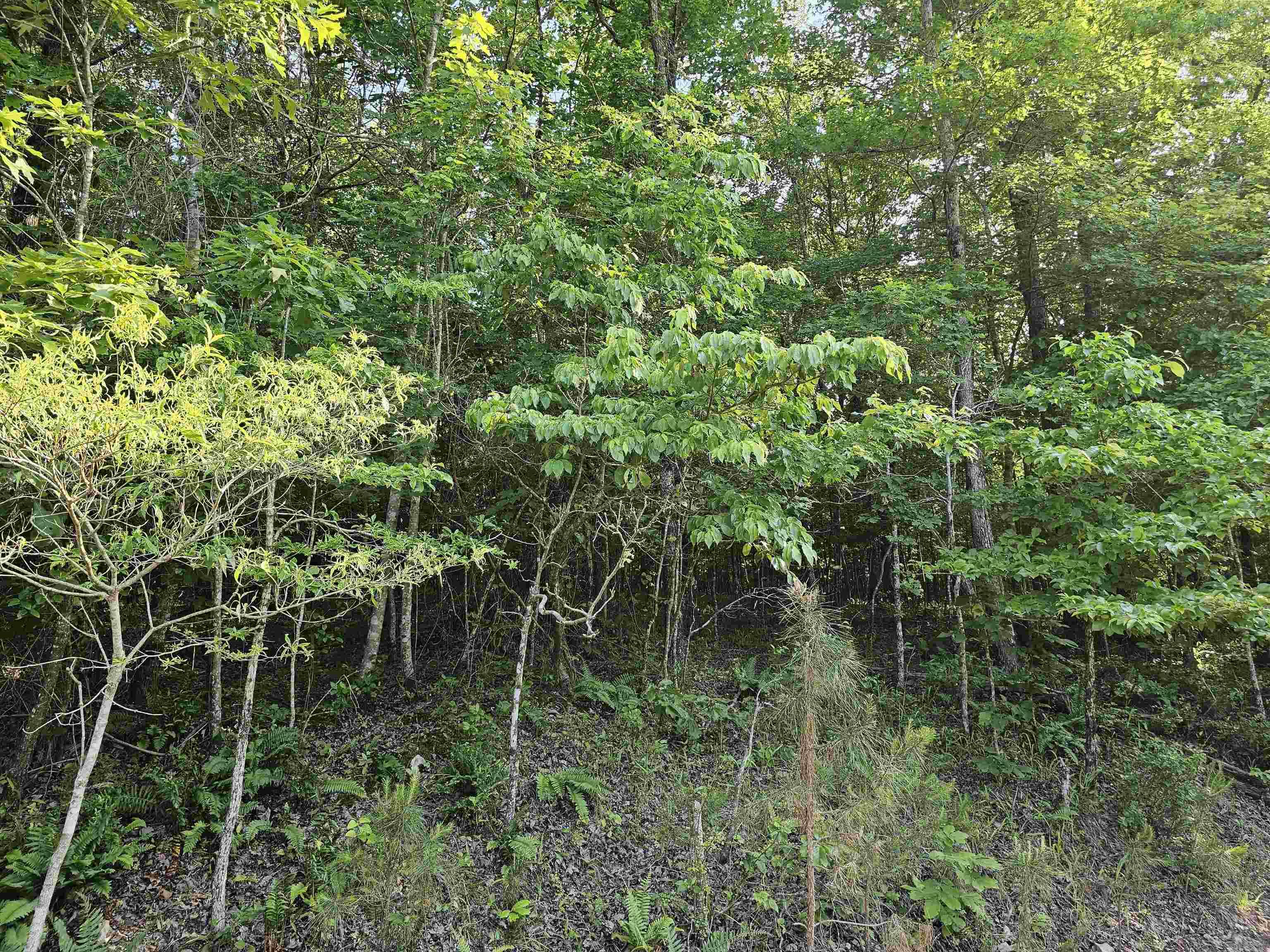 25020464 Property Photo 4