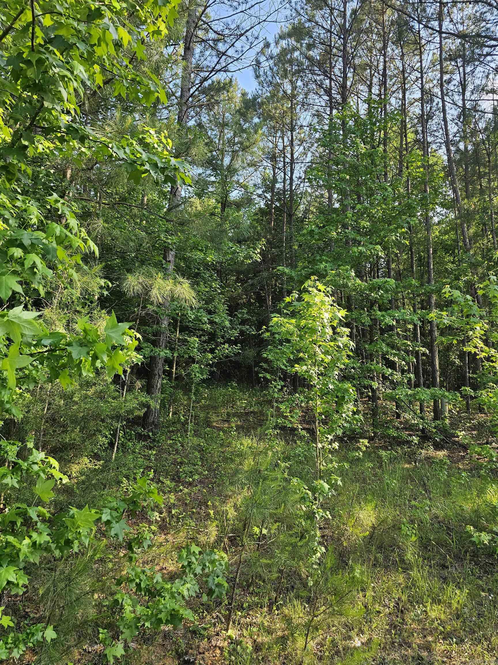 25020464 Property Photo 6