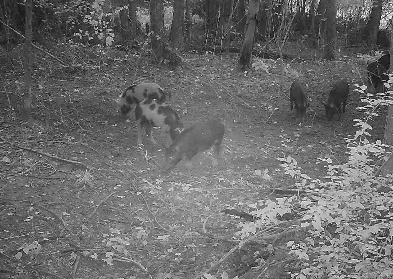 Rowell Rd Property Photo 12