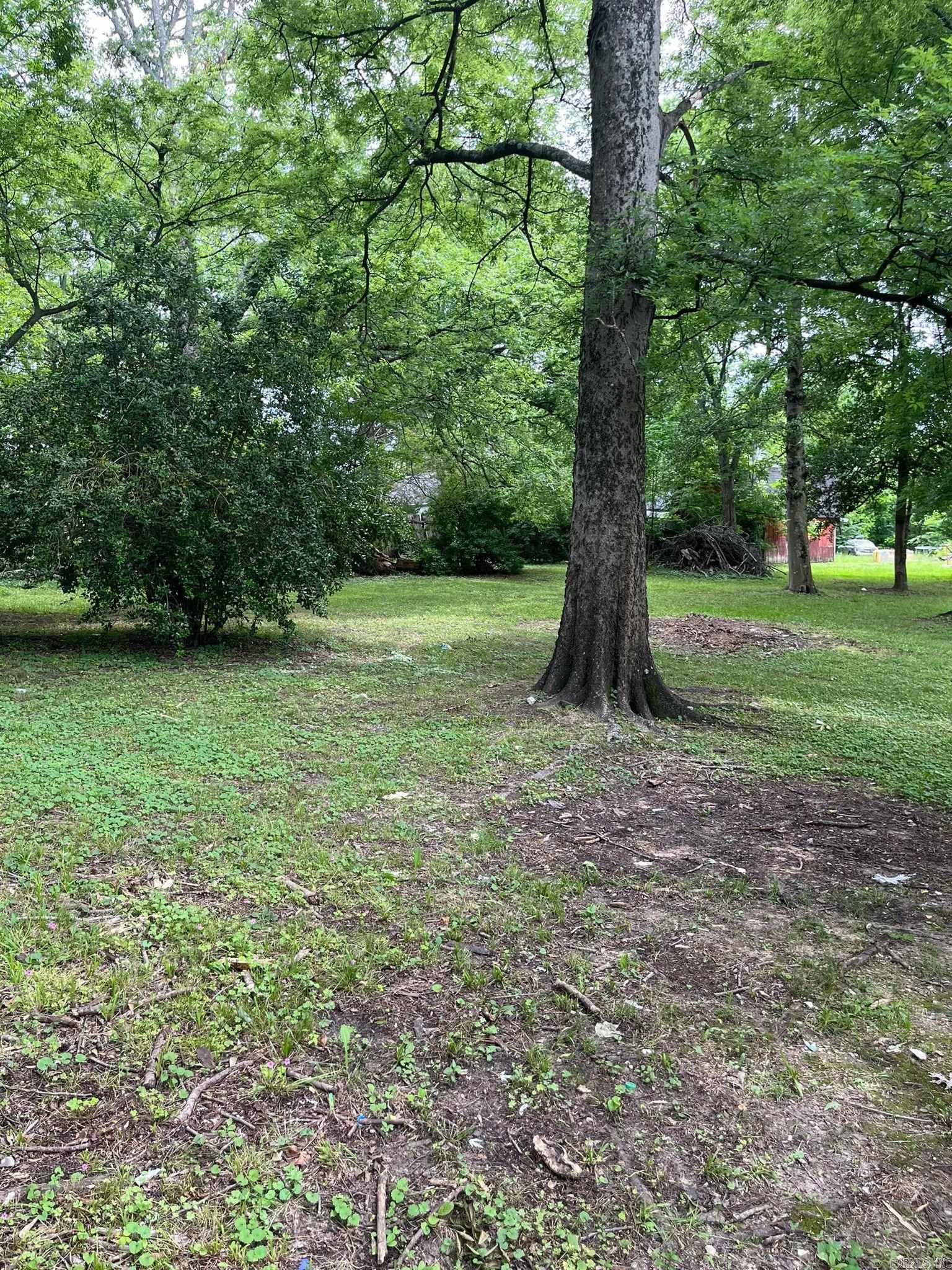 223 W Highland Avenue Property Photo 7