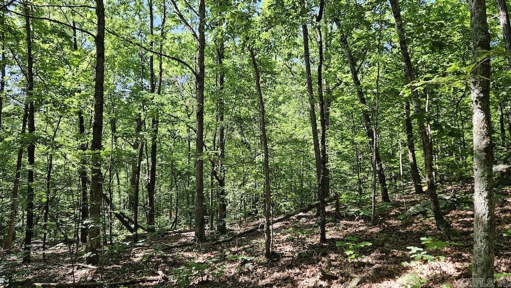Nc 2848 Property Photo 14