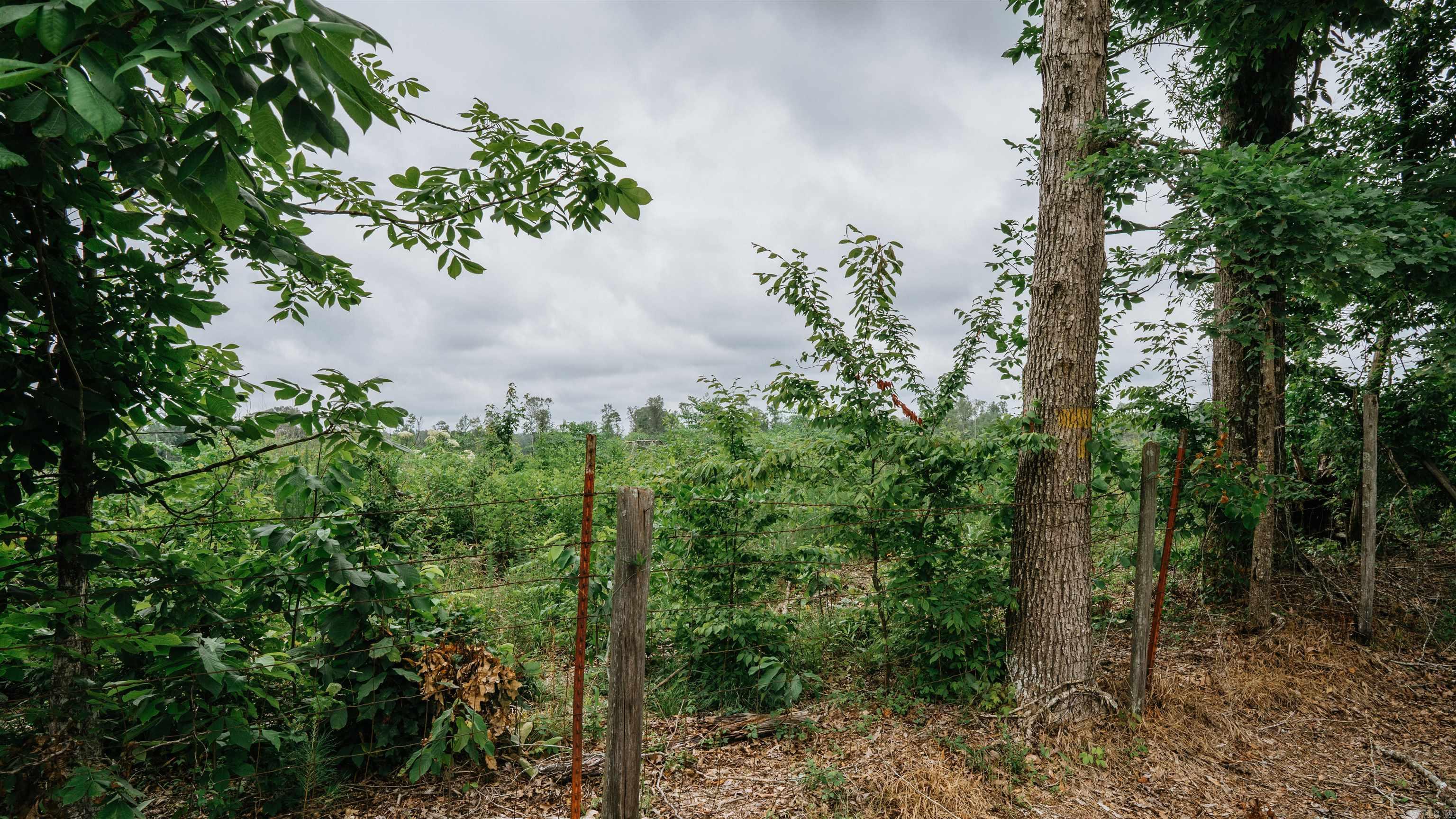 0000 172 Highway Property Photo 6
