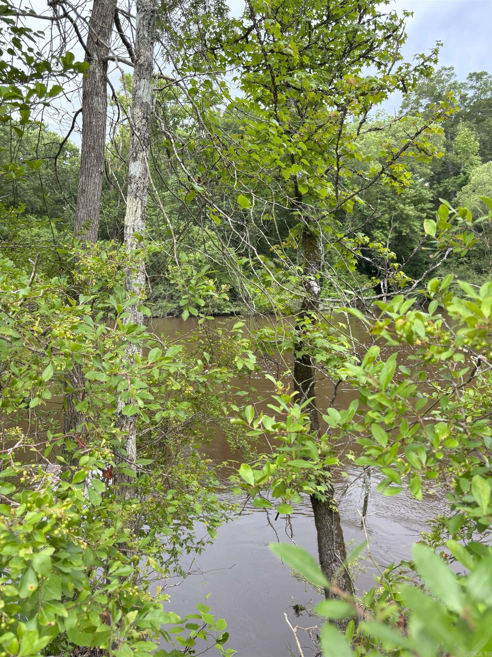 850 Vince Bluff Road Property Photo 10
