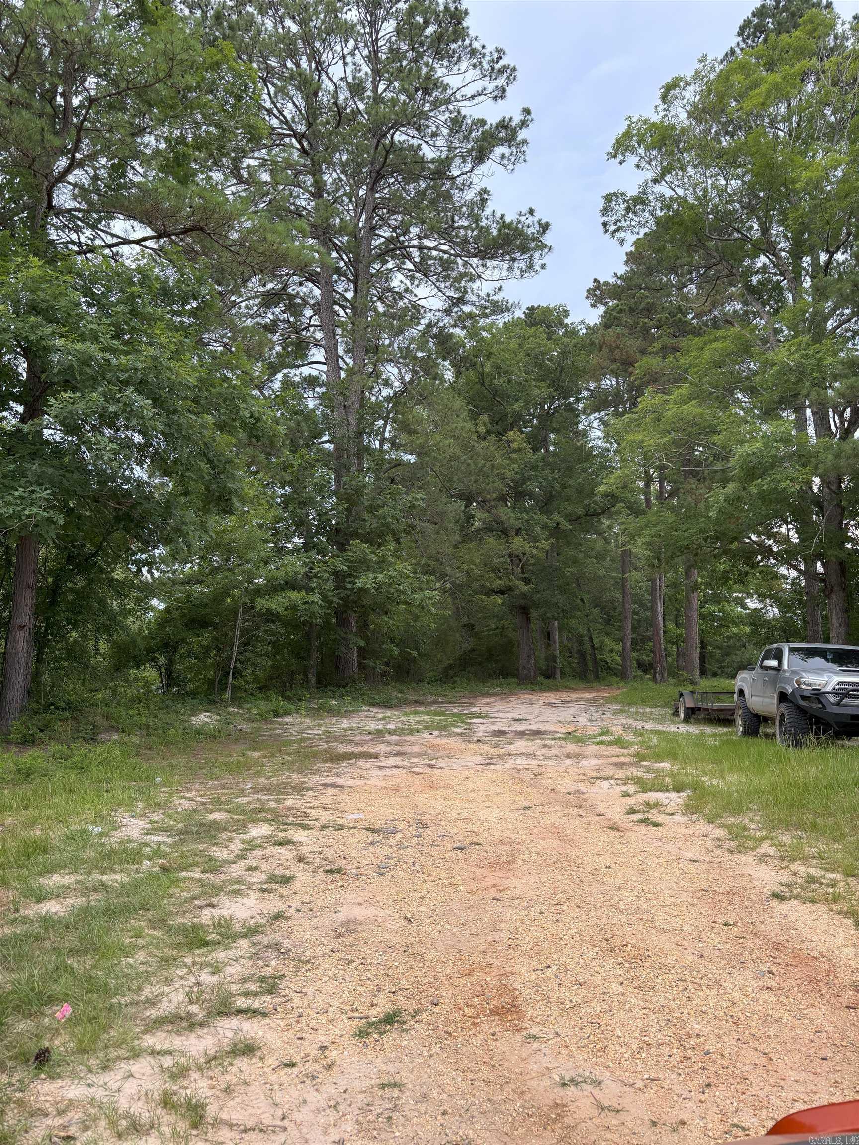 850 Vince Bluff Road Property Photo 14