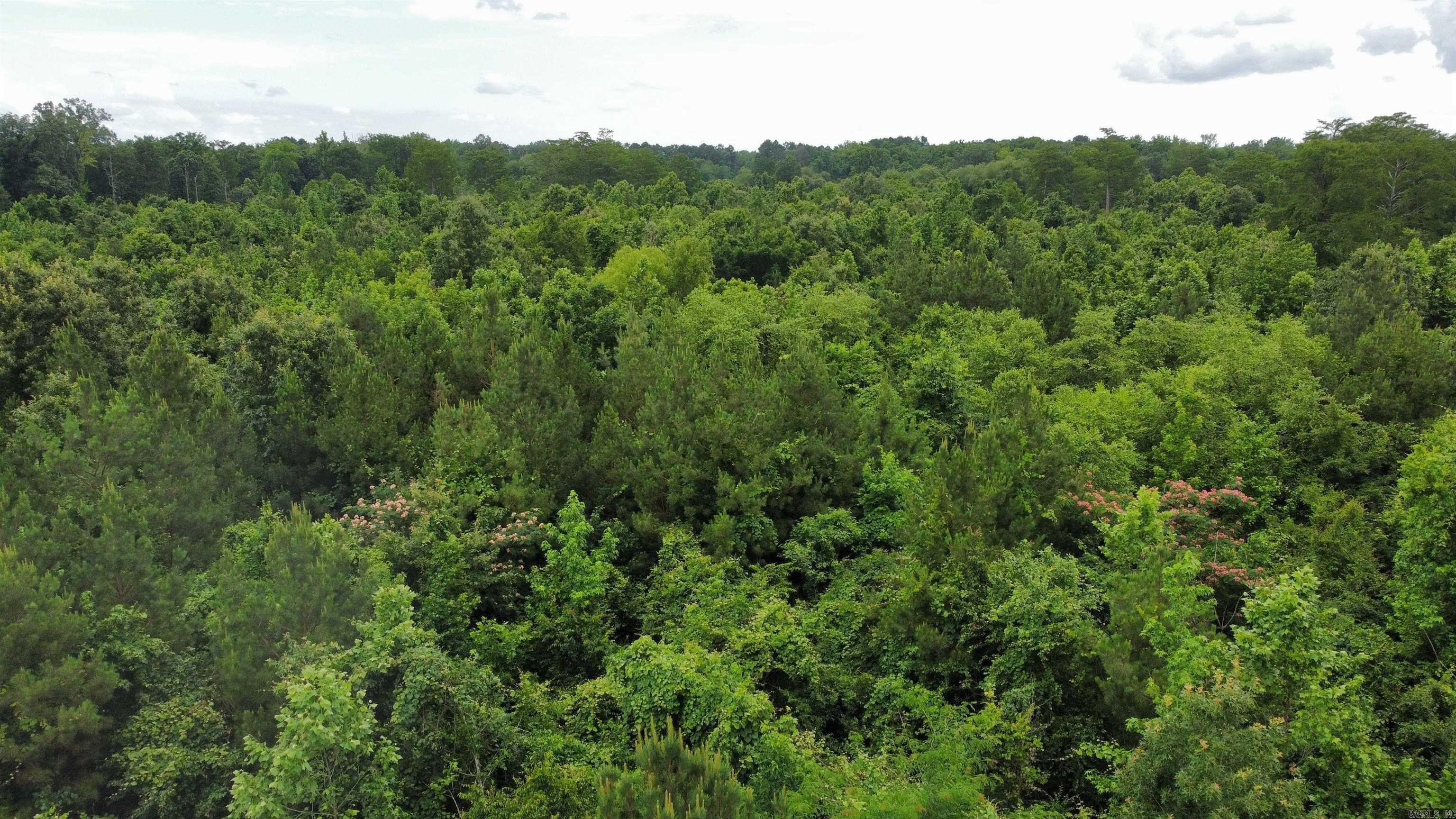 850 Vince Bluff Road Property Photo 27