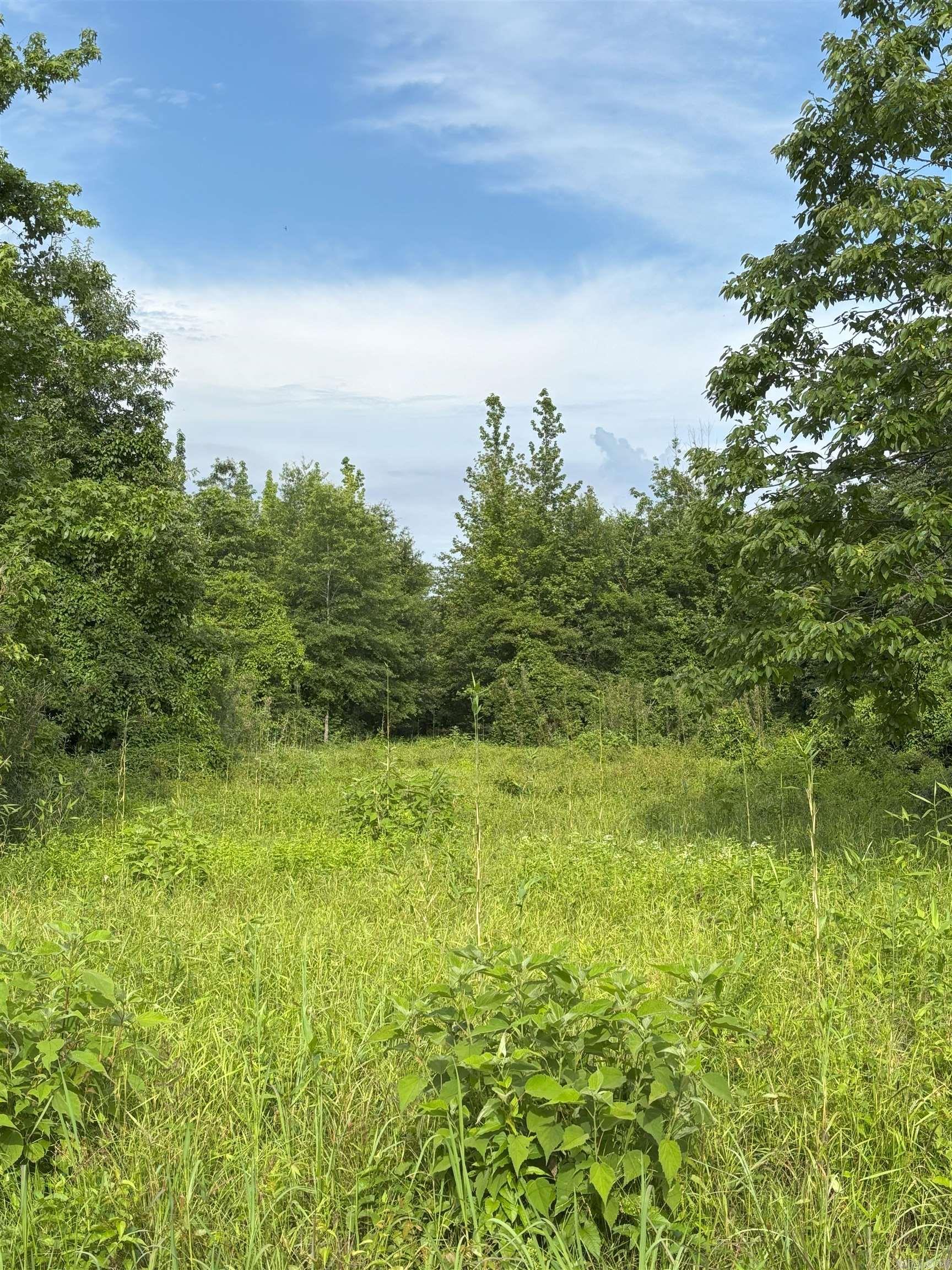 3400 Us-278 Highway Property Photo 3