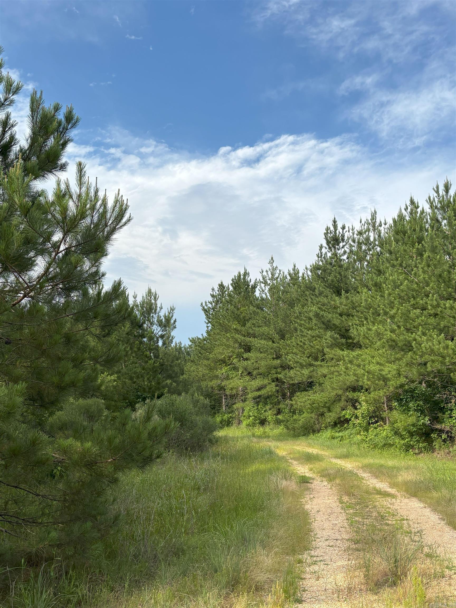 3400 Us-278 Highway Property Photo 4
