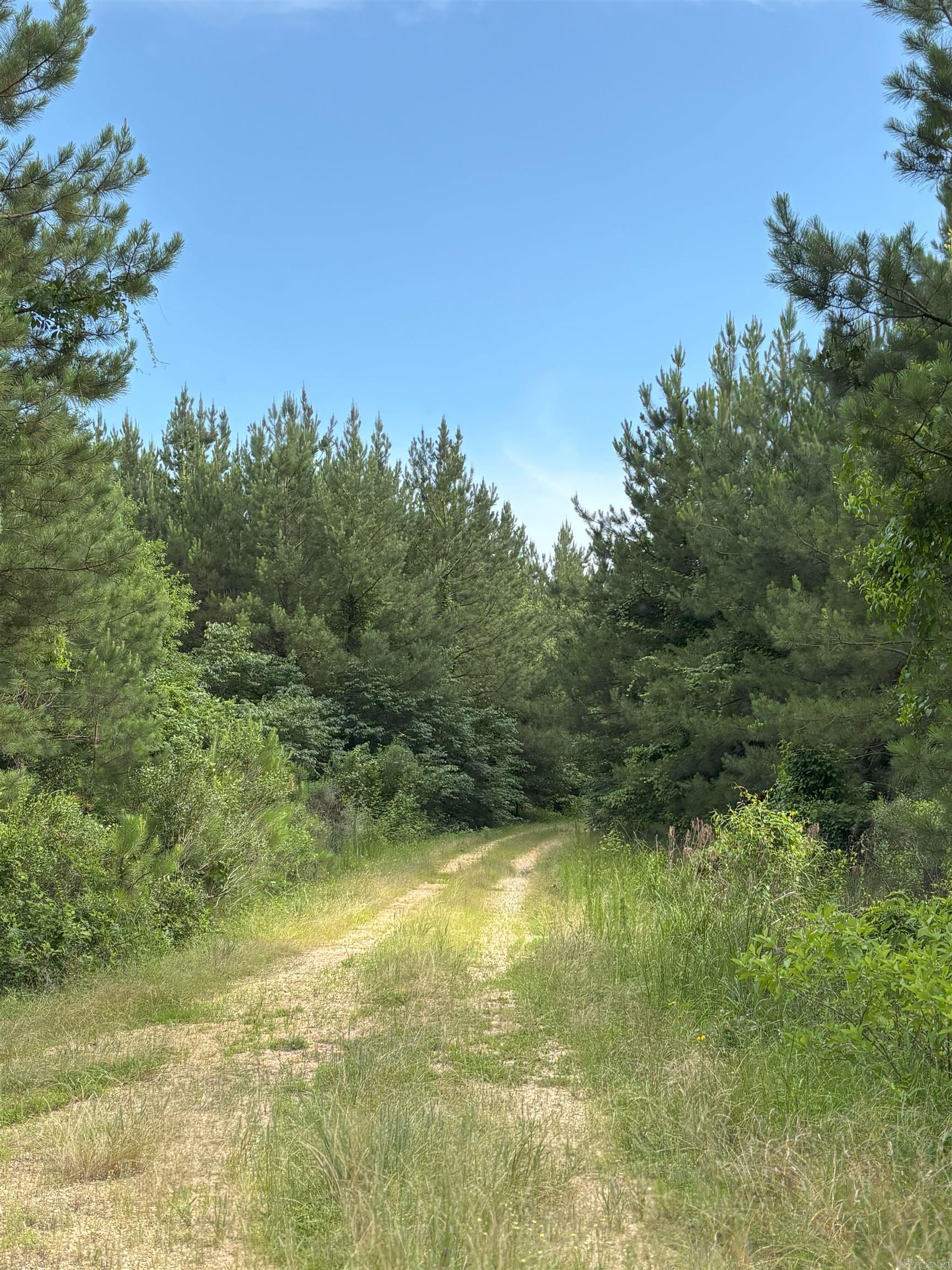 3400 Us-278 Highway Property Photo 5