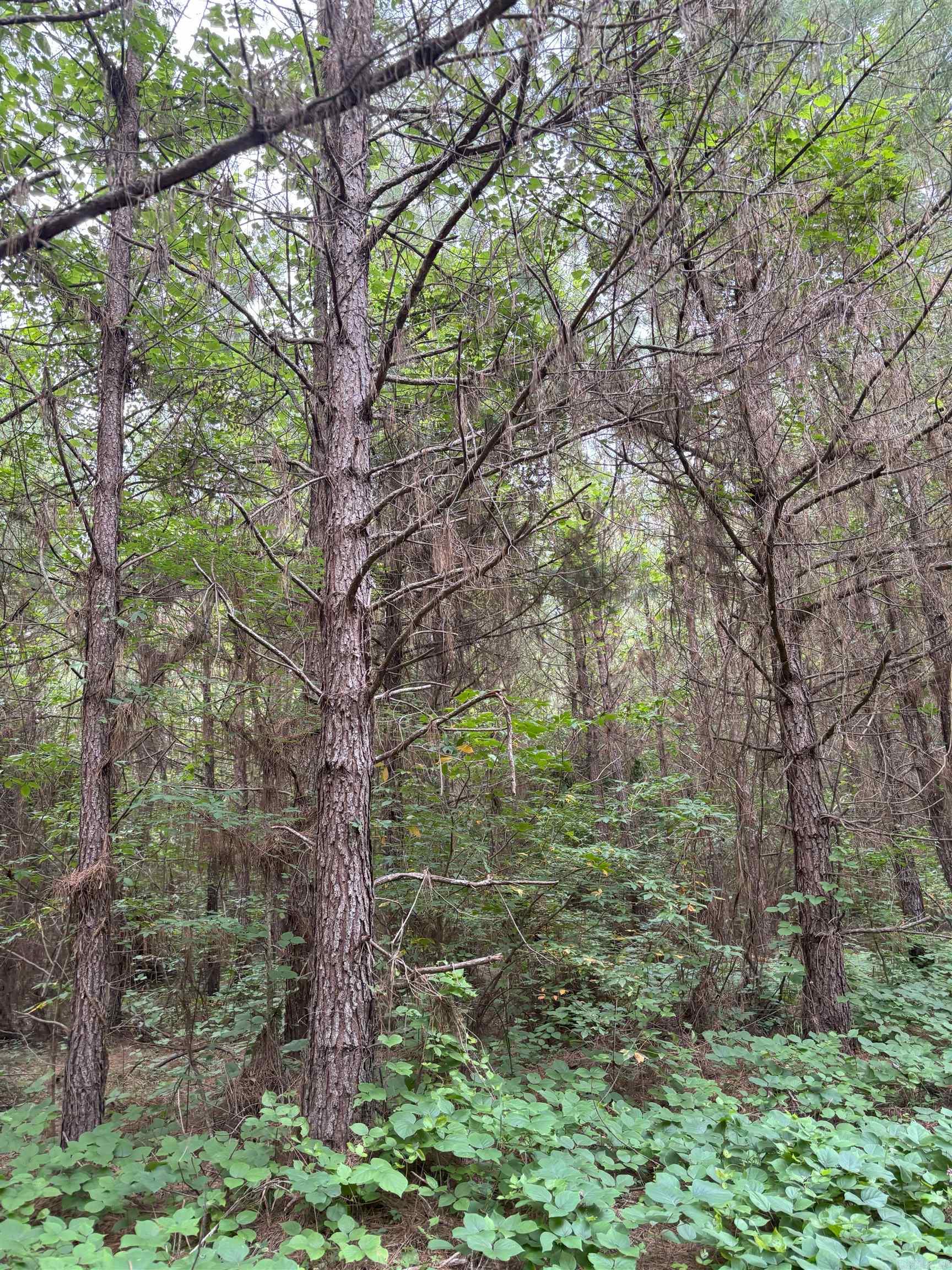 3400 Us-278 Highway Property Photo 6