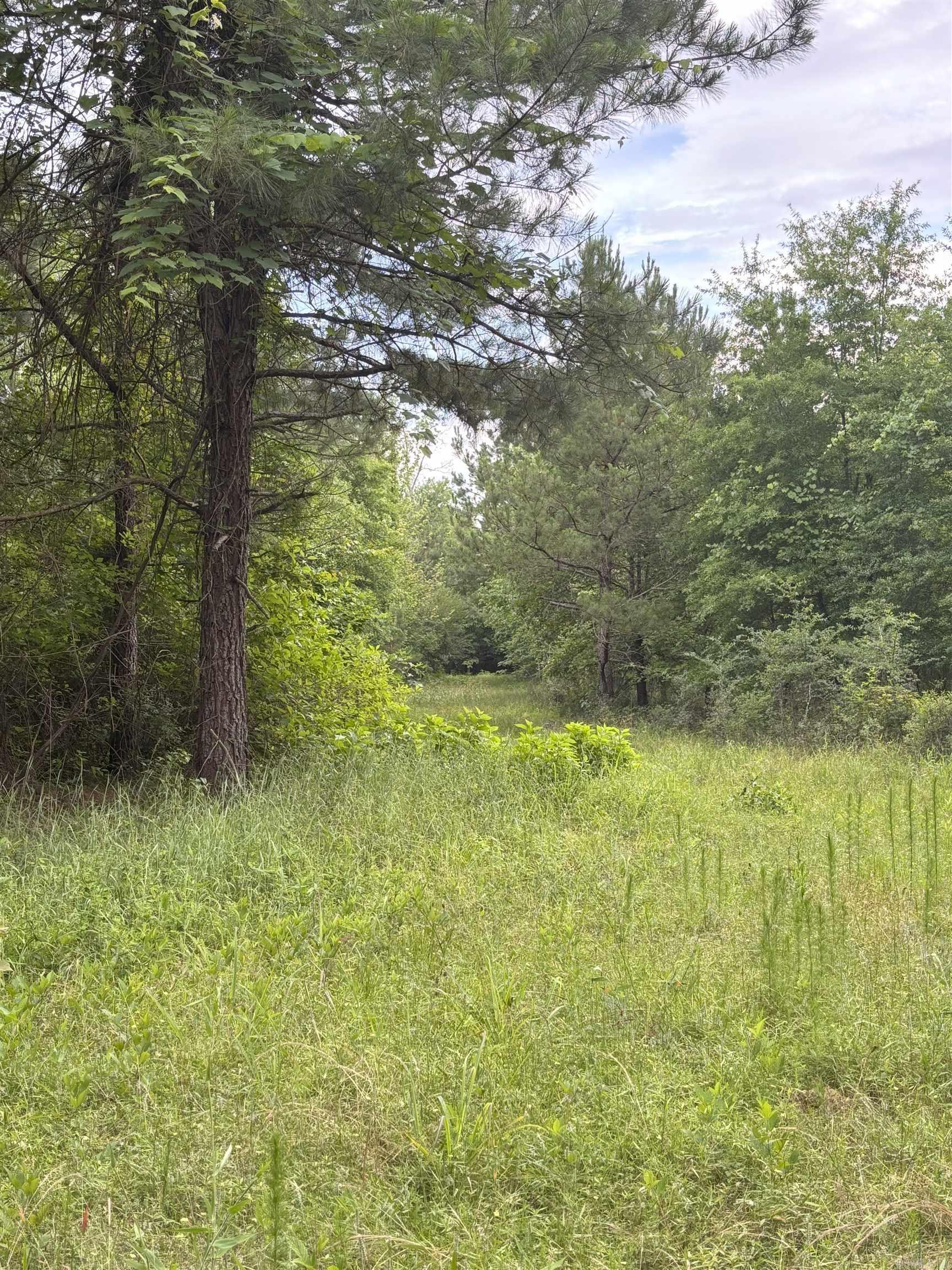 3400 Us-278 Highway Property Photo 7