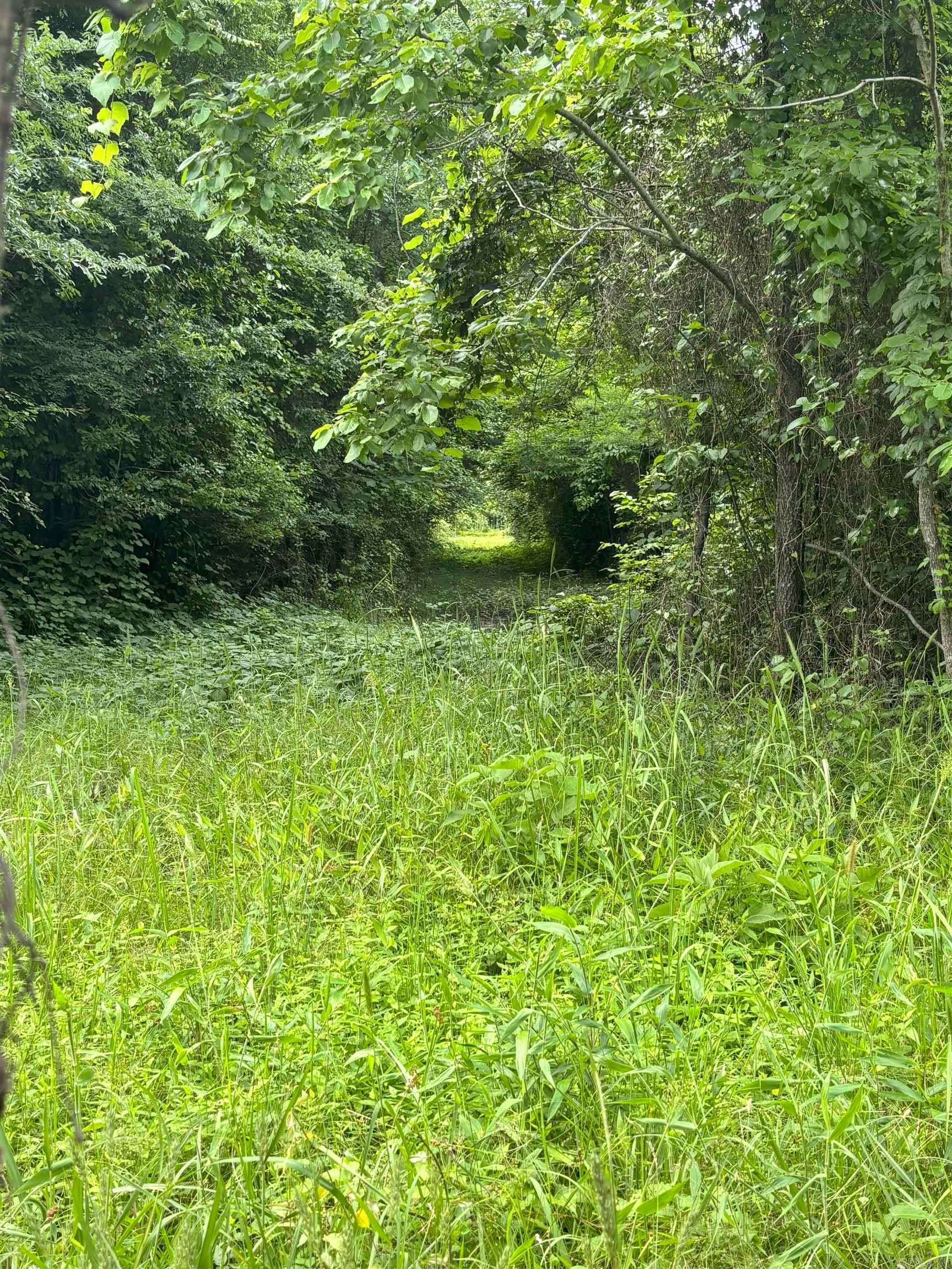 3400 Us-278 Highway Property Photo 8